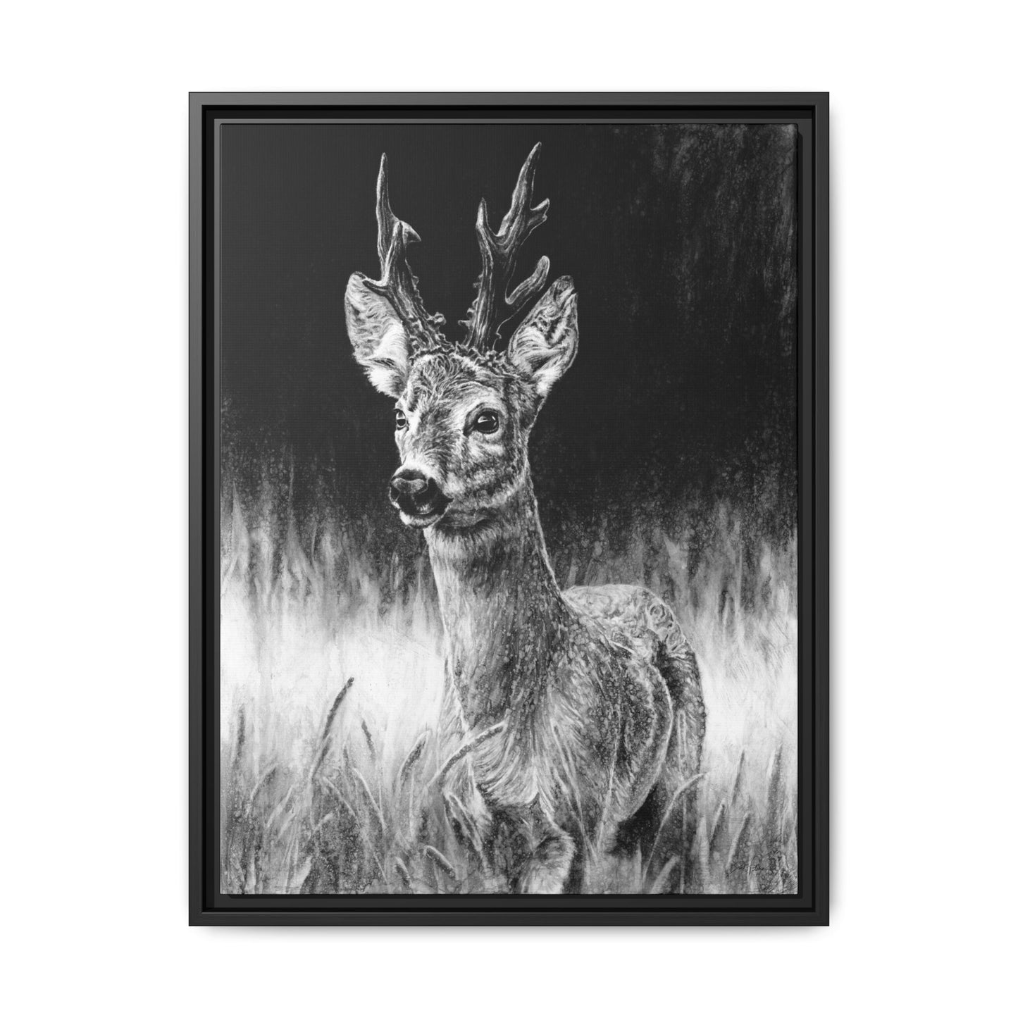 "Roe Deer" Framed Canvas