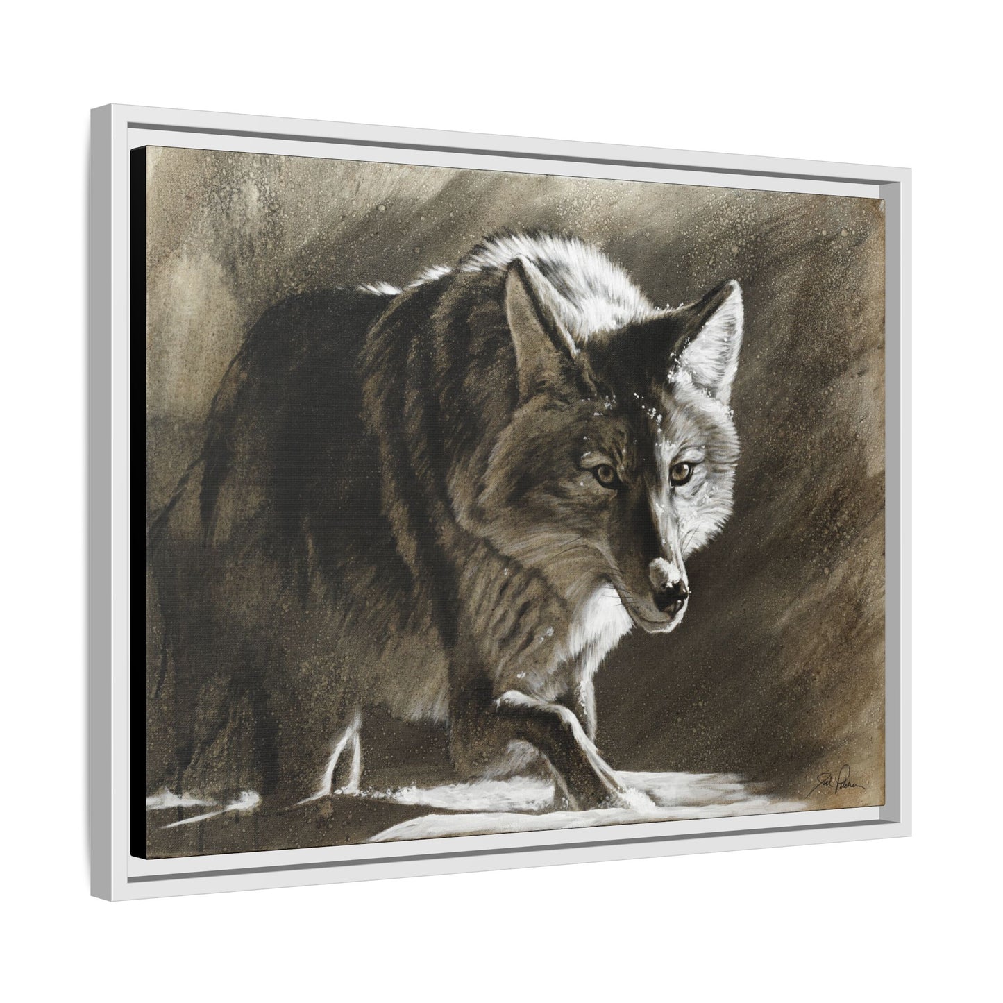 "Coyote" Framed Canvas