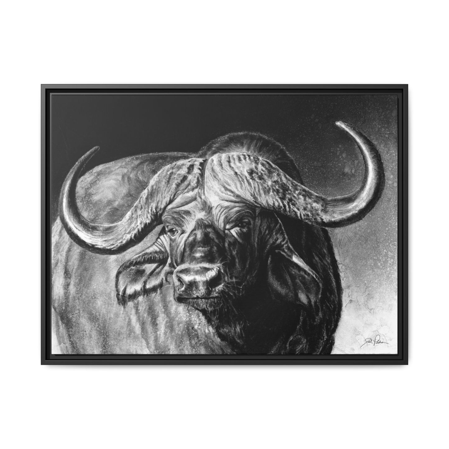 "Cape Buffalo" Framed Canvas
