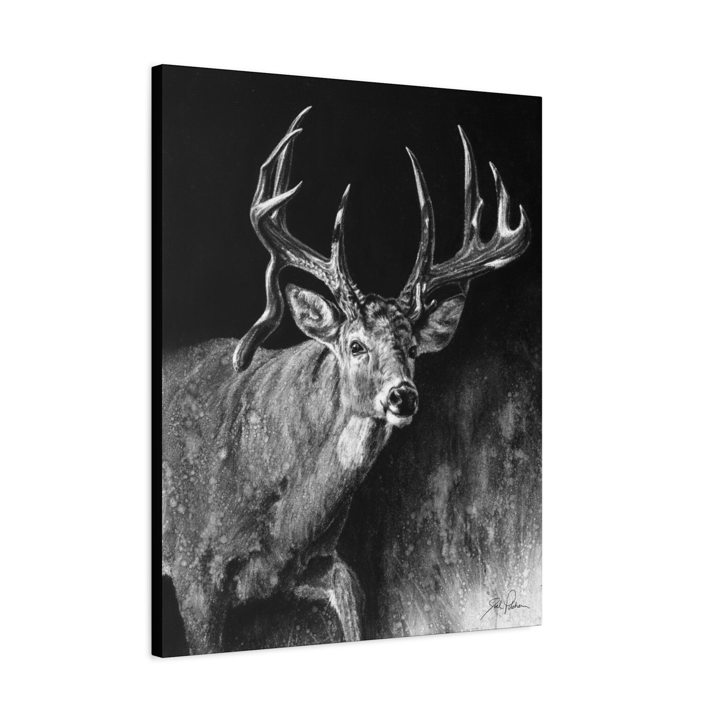 "Jaw Dropper" Stretched Canvas