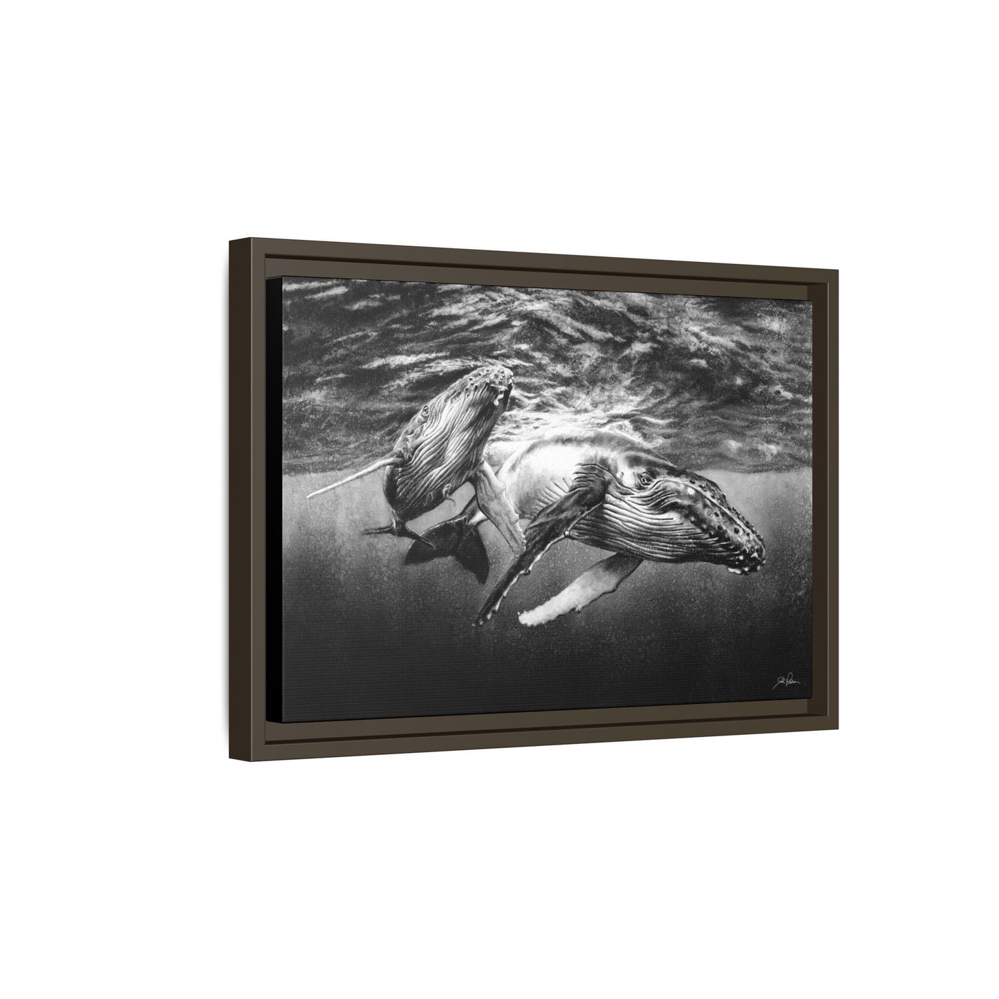 "Humpback Whales" Framed Canvas