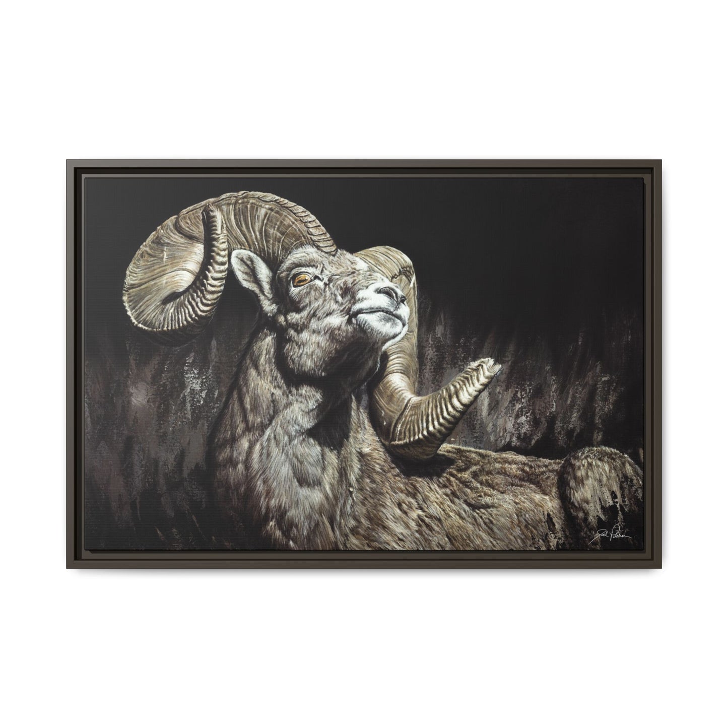 "Golden Eye" Framed Canvas