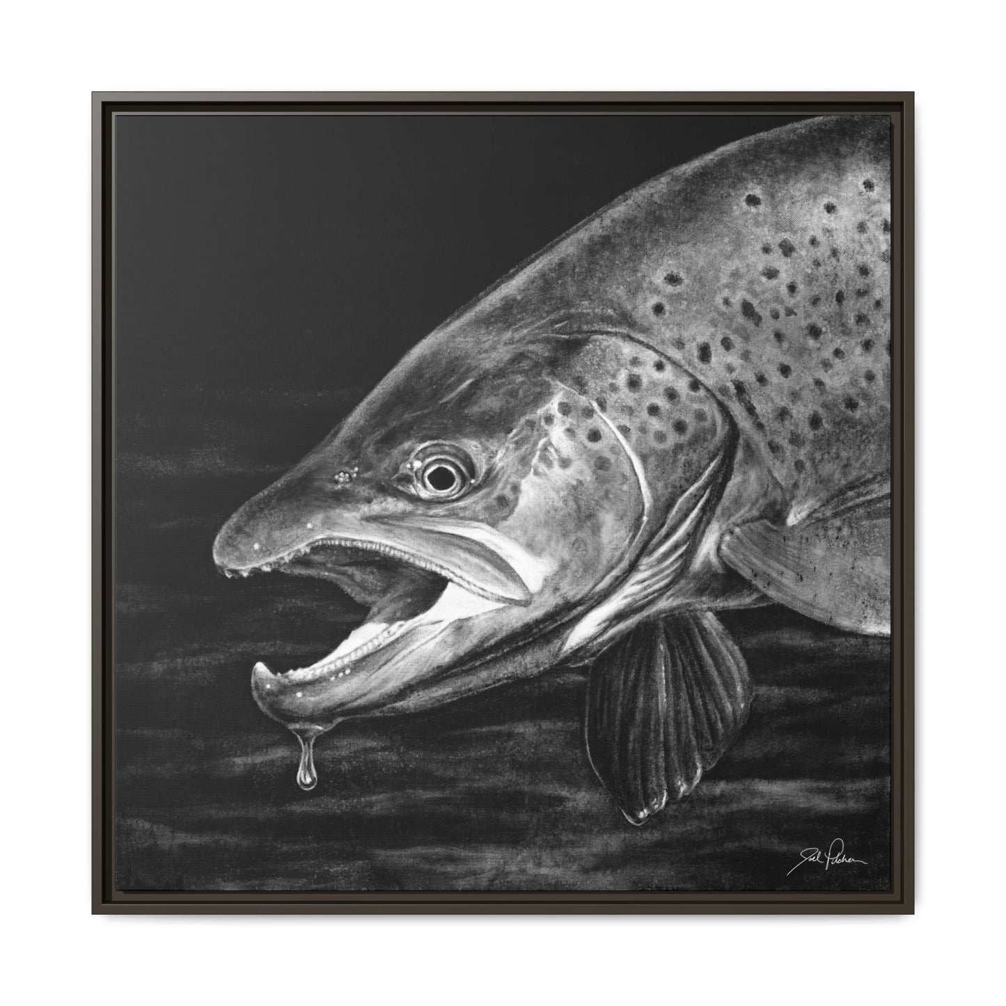 "Brown Trout" Framed Canvas