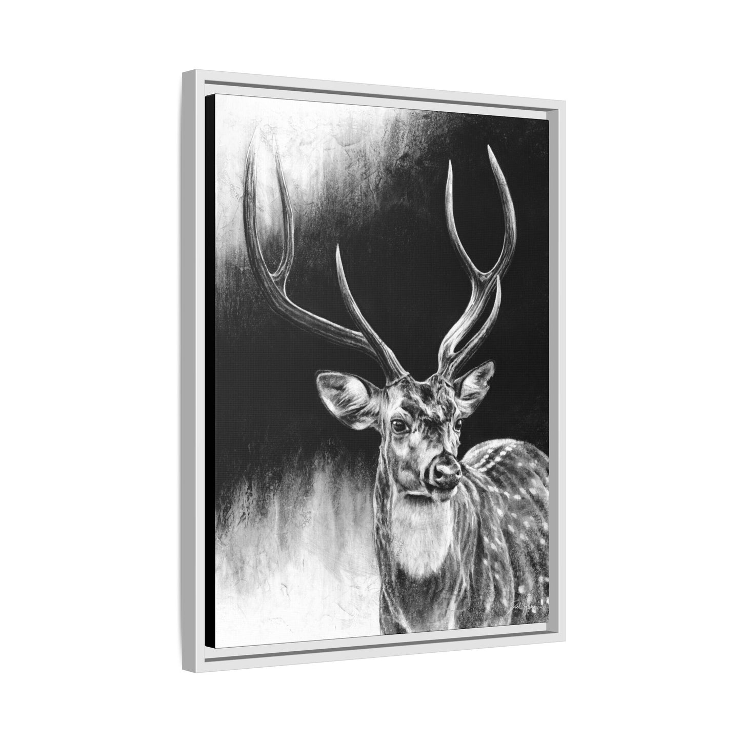 "Axis Buck" Framed Canvas