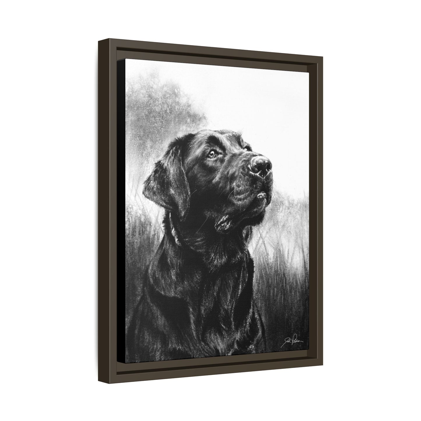 "Labrador Retriever" Framed Canvas