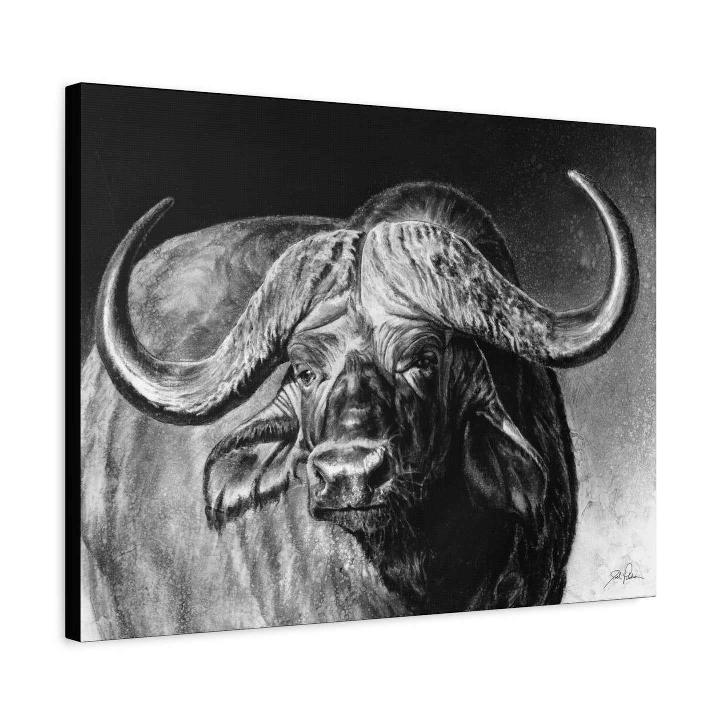 "Cape Buffalo" Stretched Canvas