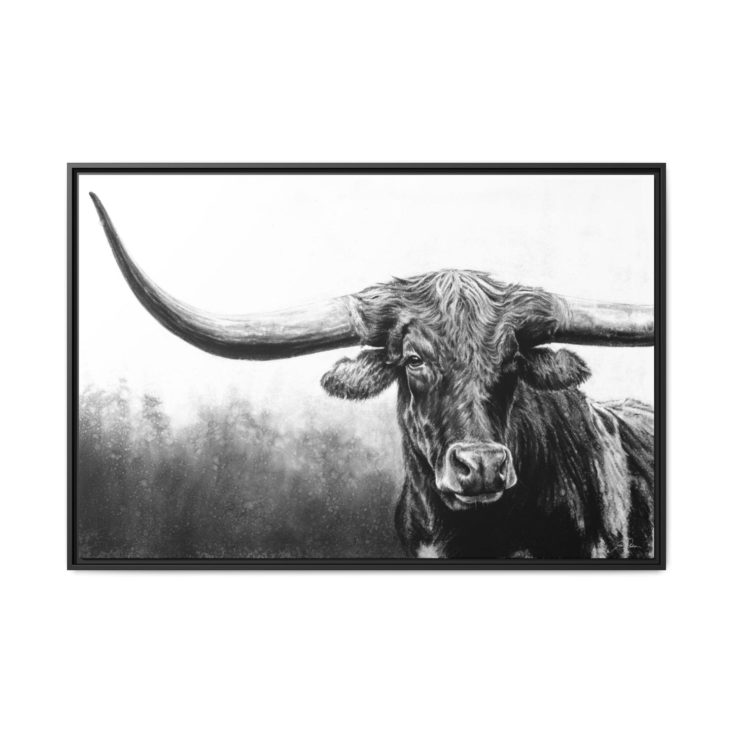 "Longhorn" Framed Canvas