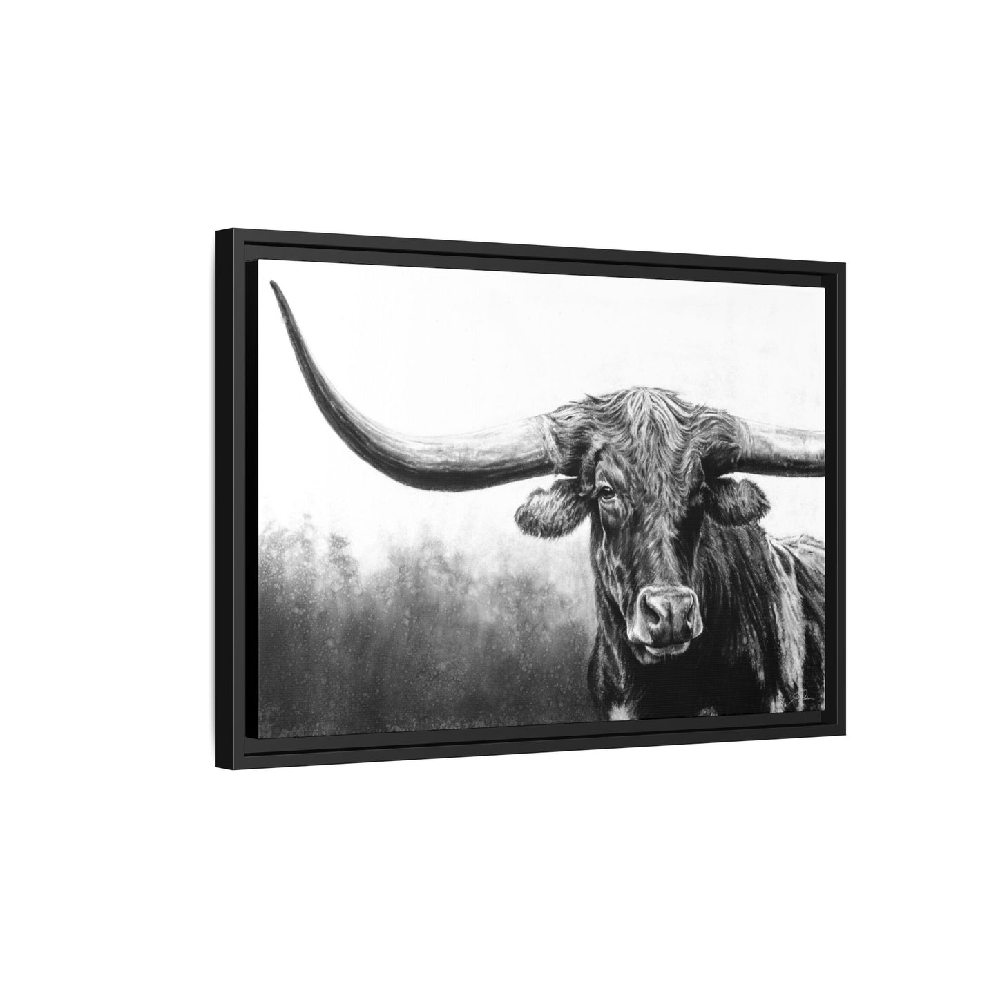 "Longhorn" Framed Canvas