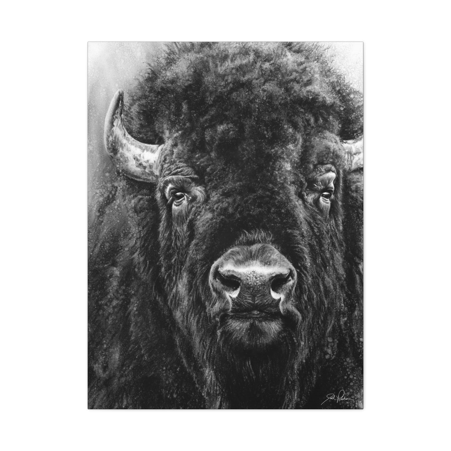 "Tatanka" Stretched Canvas