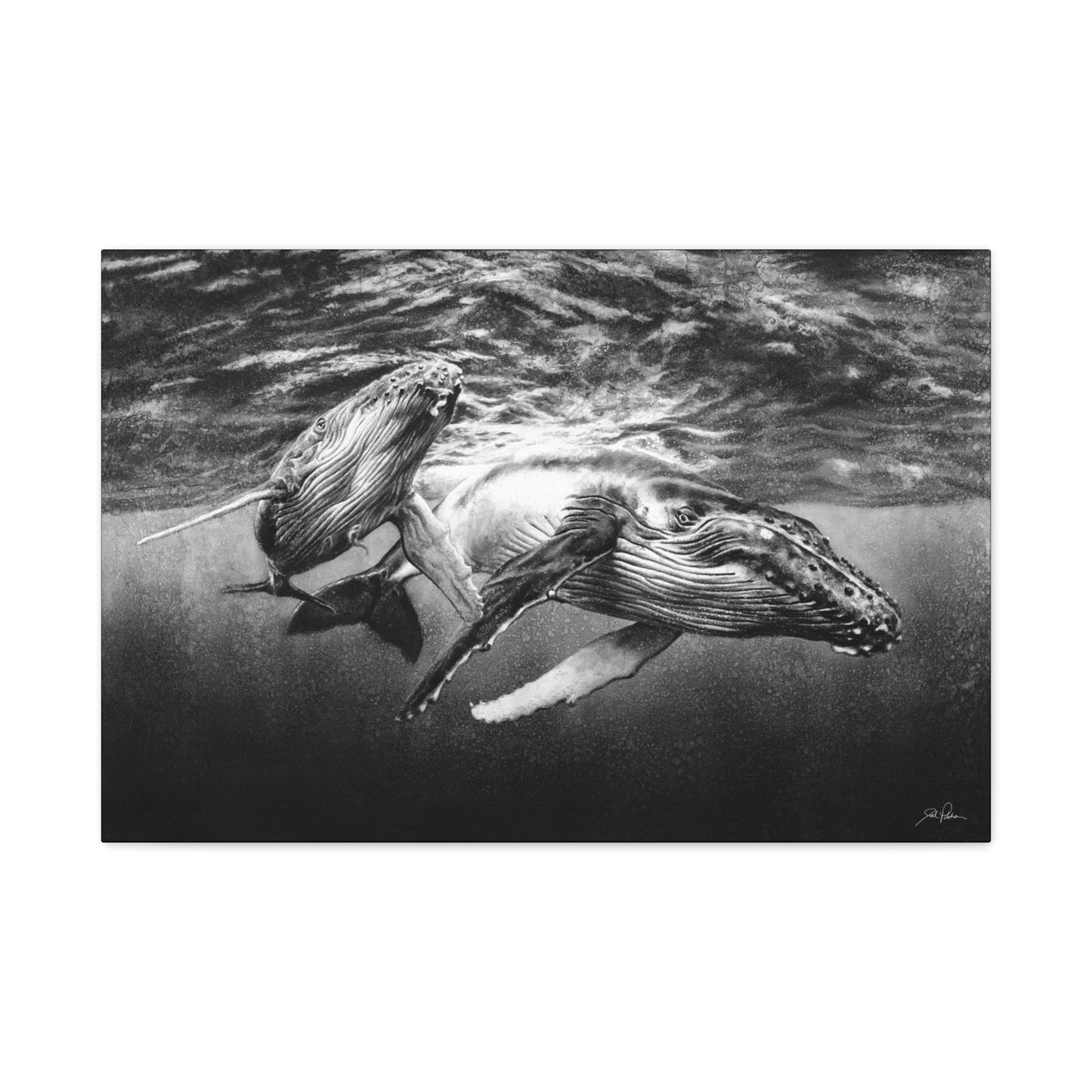 "Humpback Whales" Stretched Canvas