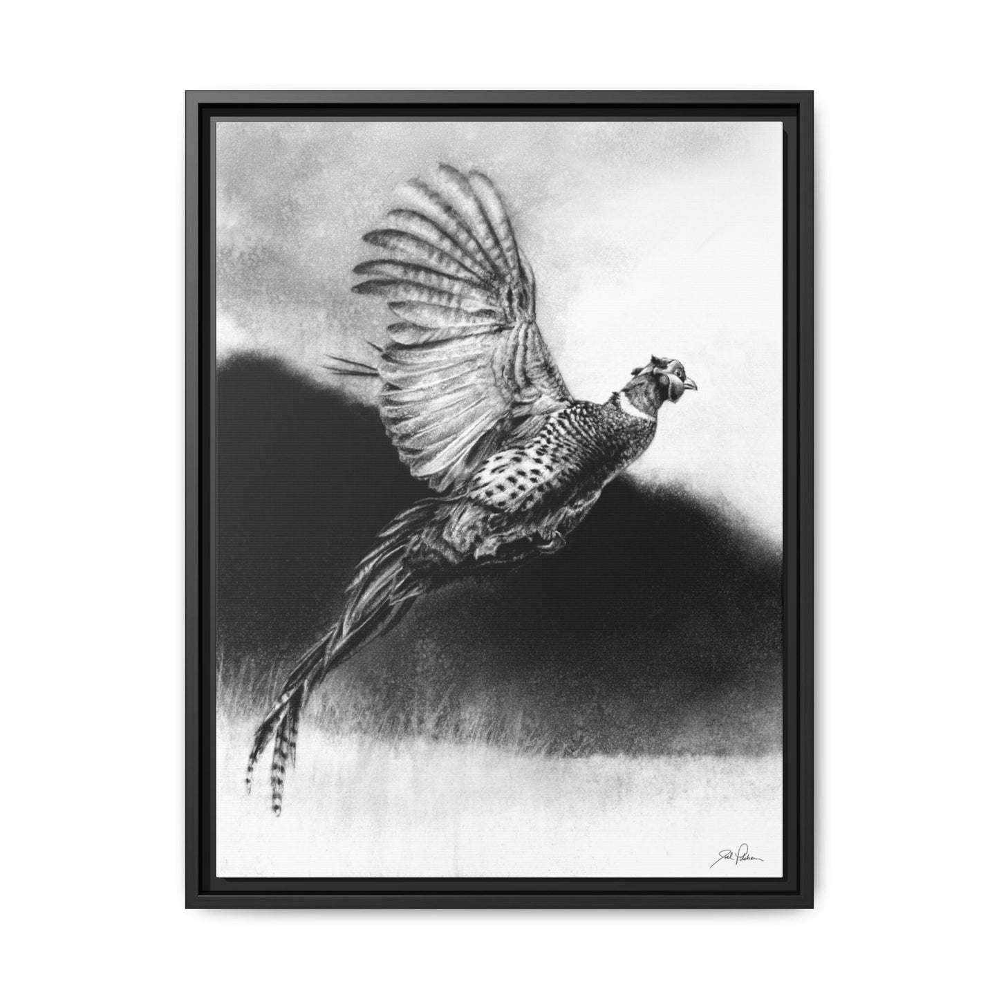 "Flushed" Framed Canvas