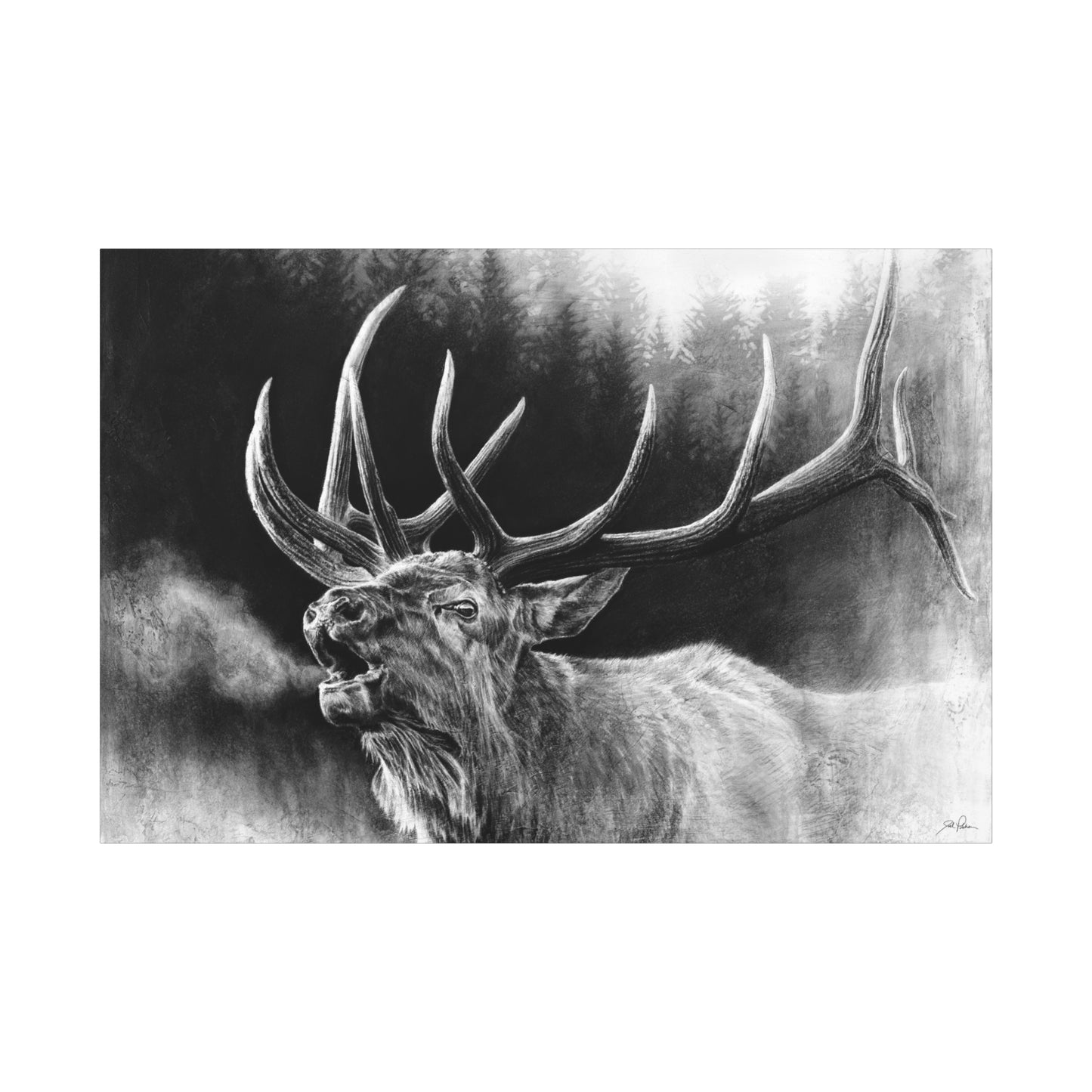 "Bugle Boy" Stretched Canvas