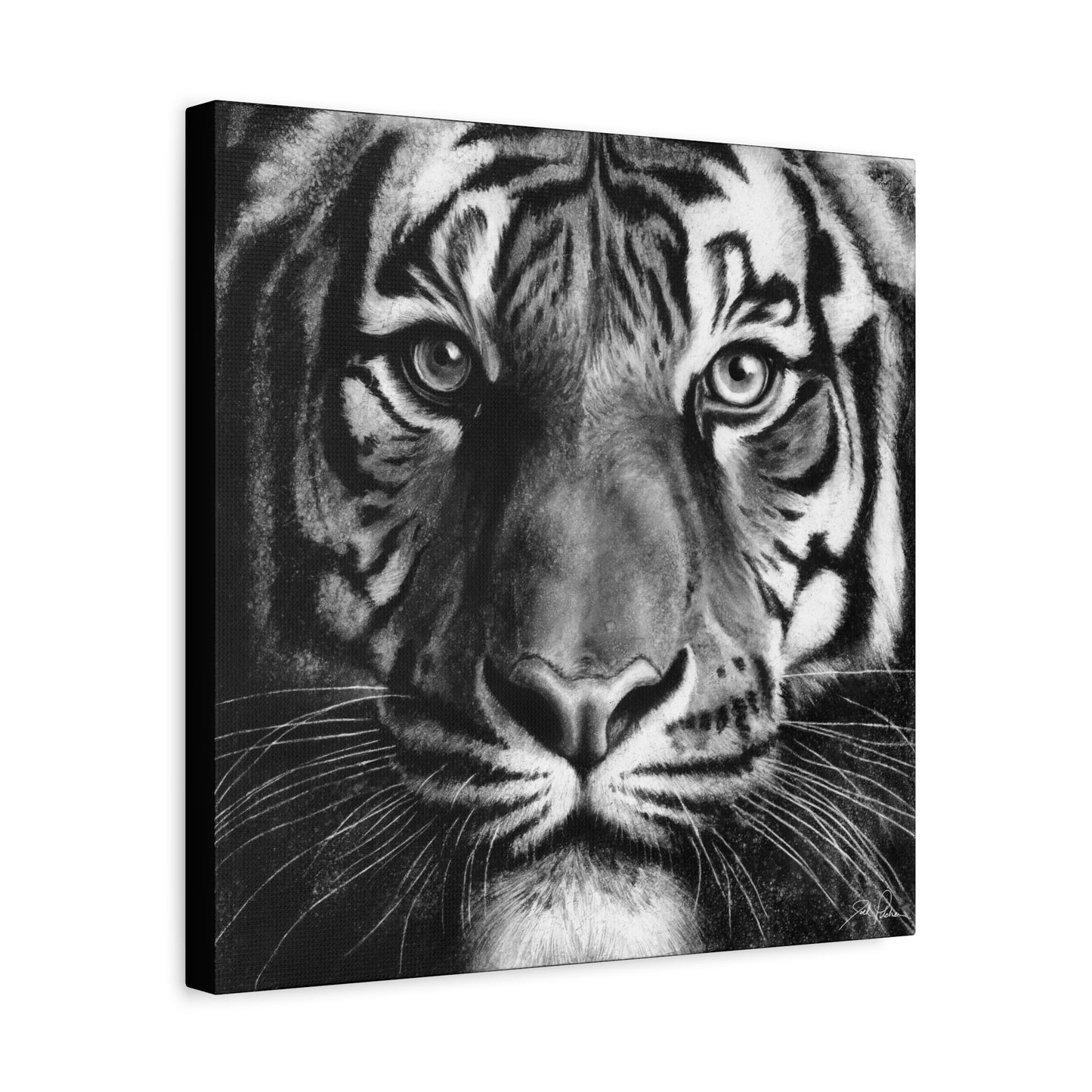 "Tiger" Stretched Canvas