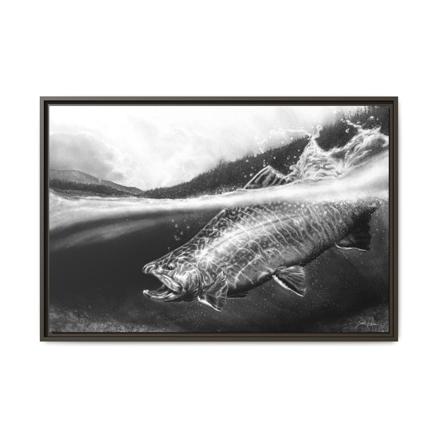 "Brook Trout" Framed Canvas
