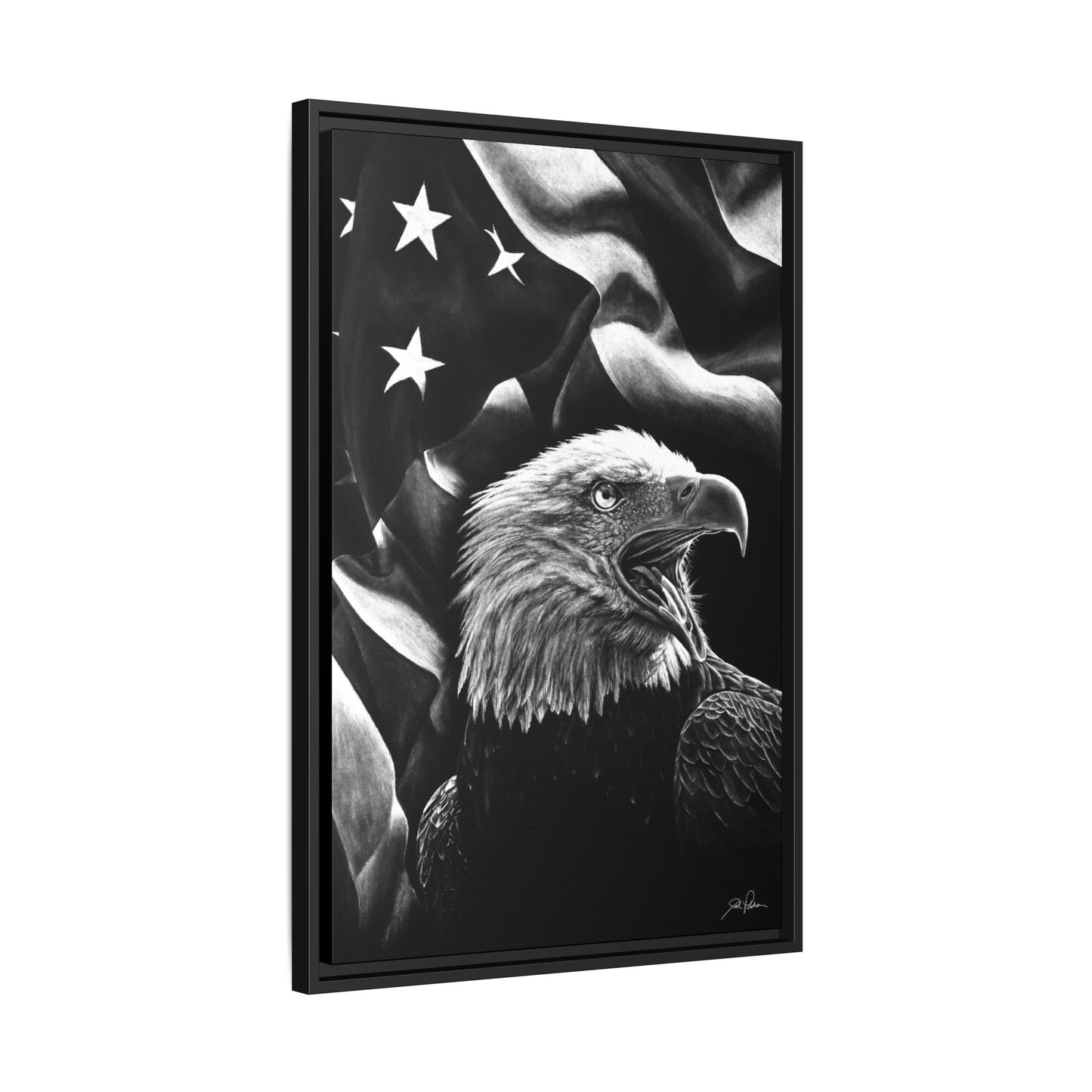 "American Eagle" Framed Canvas