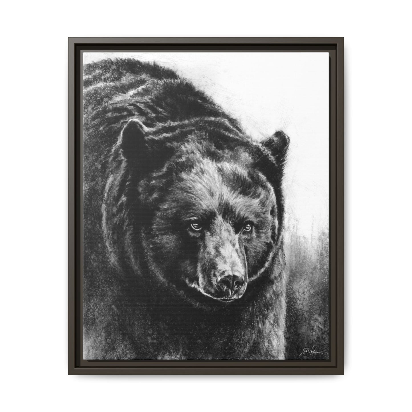 "Black Bear" Framed Canvas