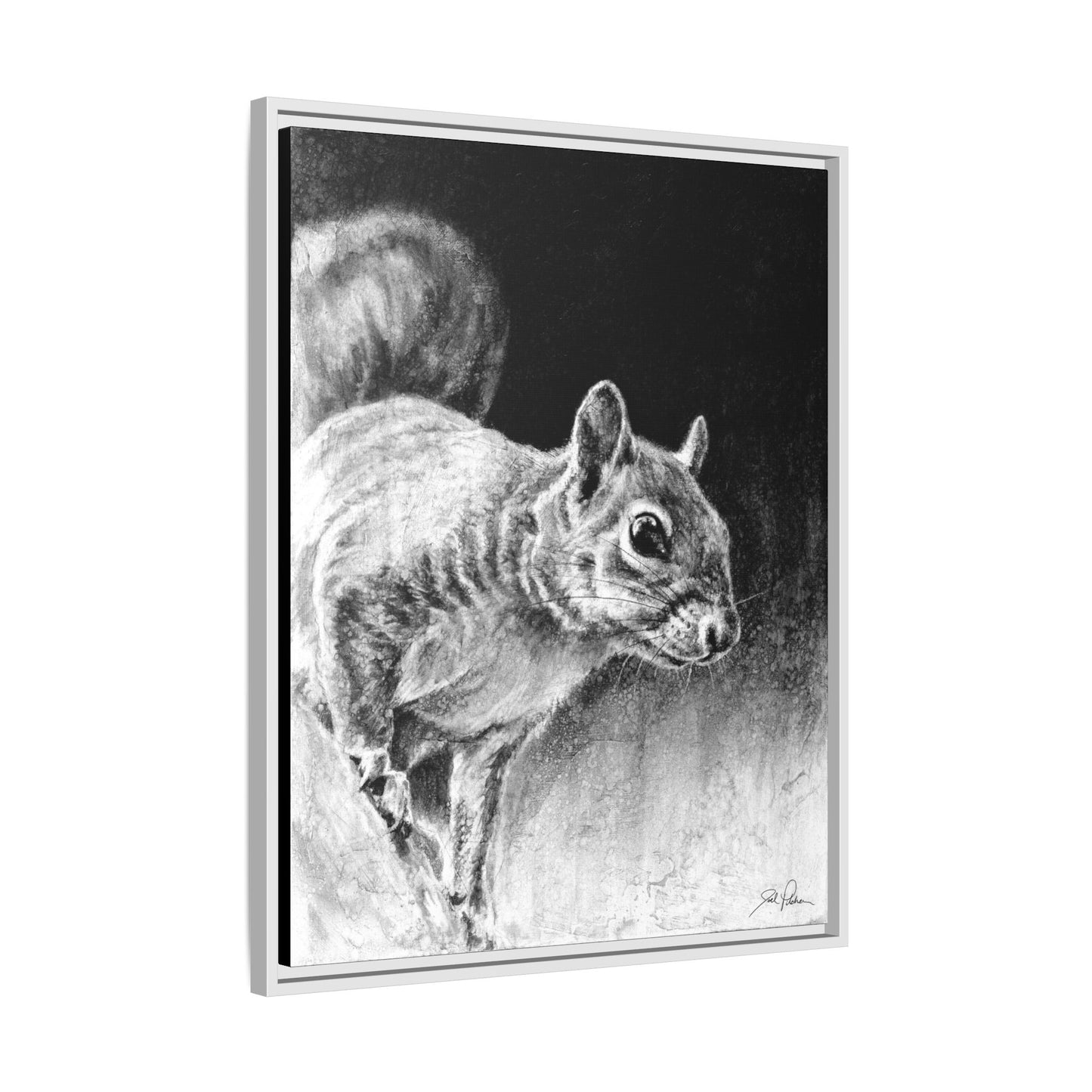"Squirrel" Framed Canvas