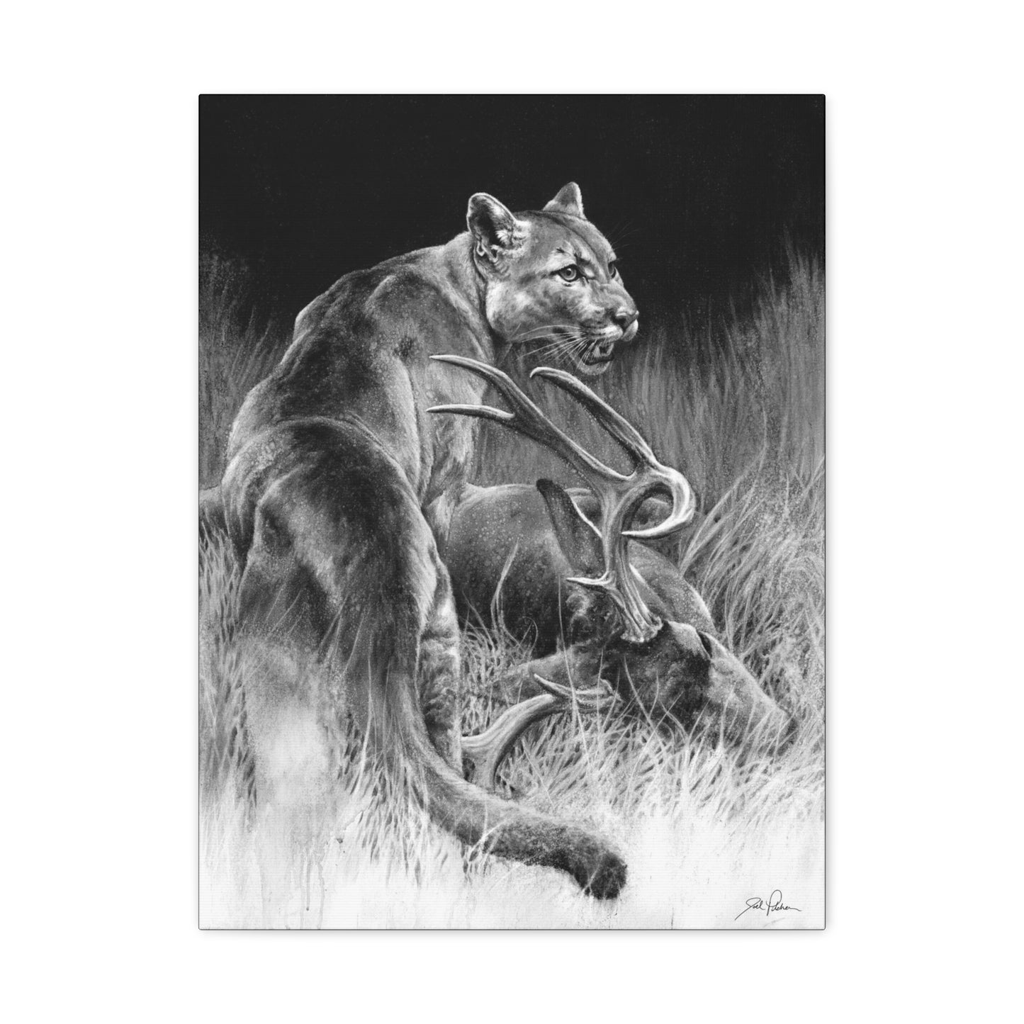 "Food Chain" Stretched Canvas