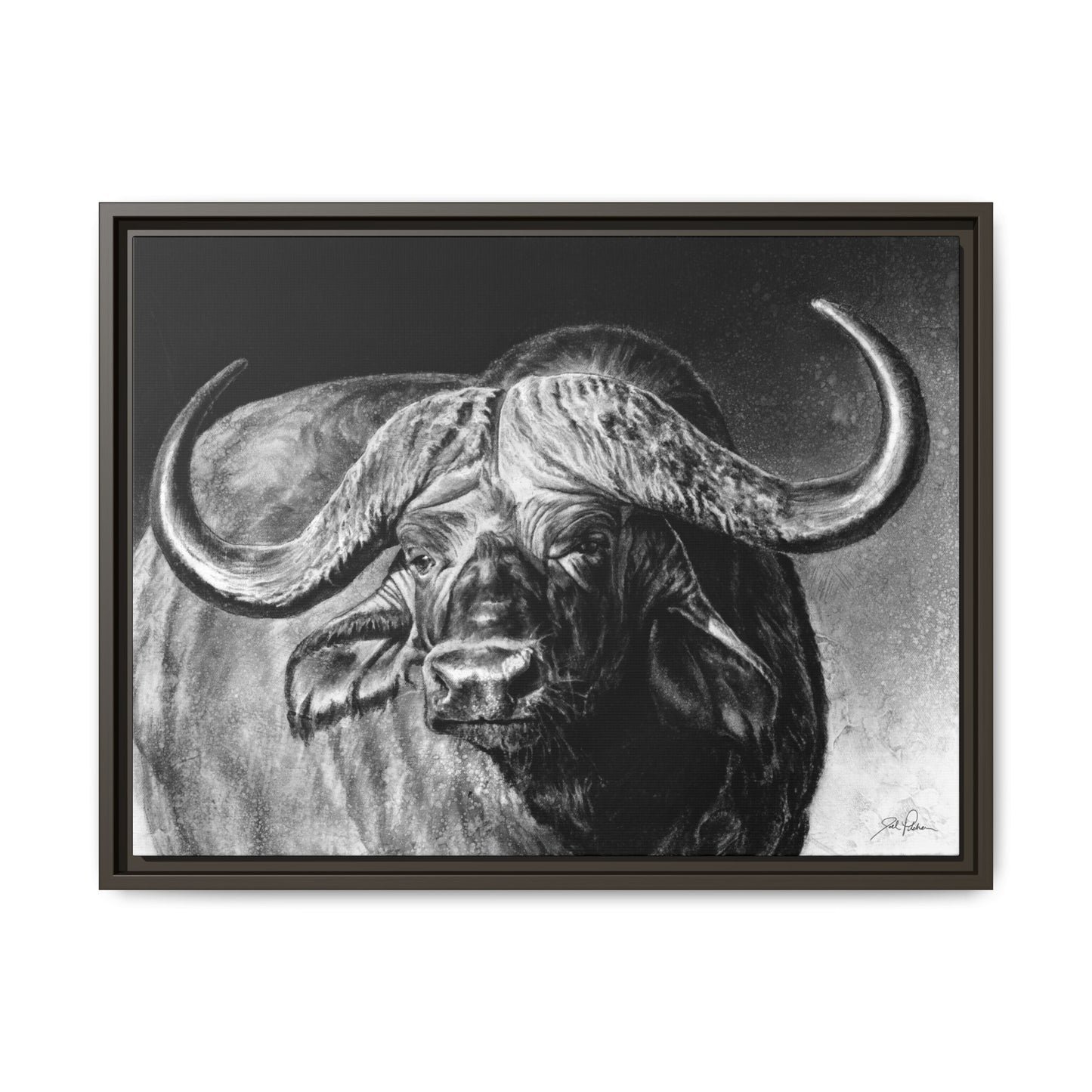 "Cape Buffalo" Framed Canvas