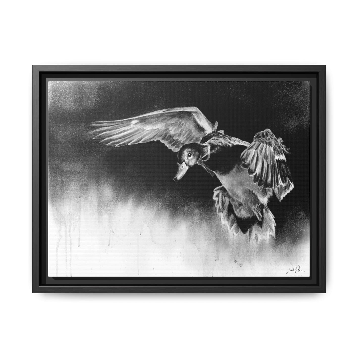"Controlled Descent" Framed Canvas