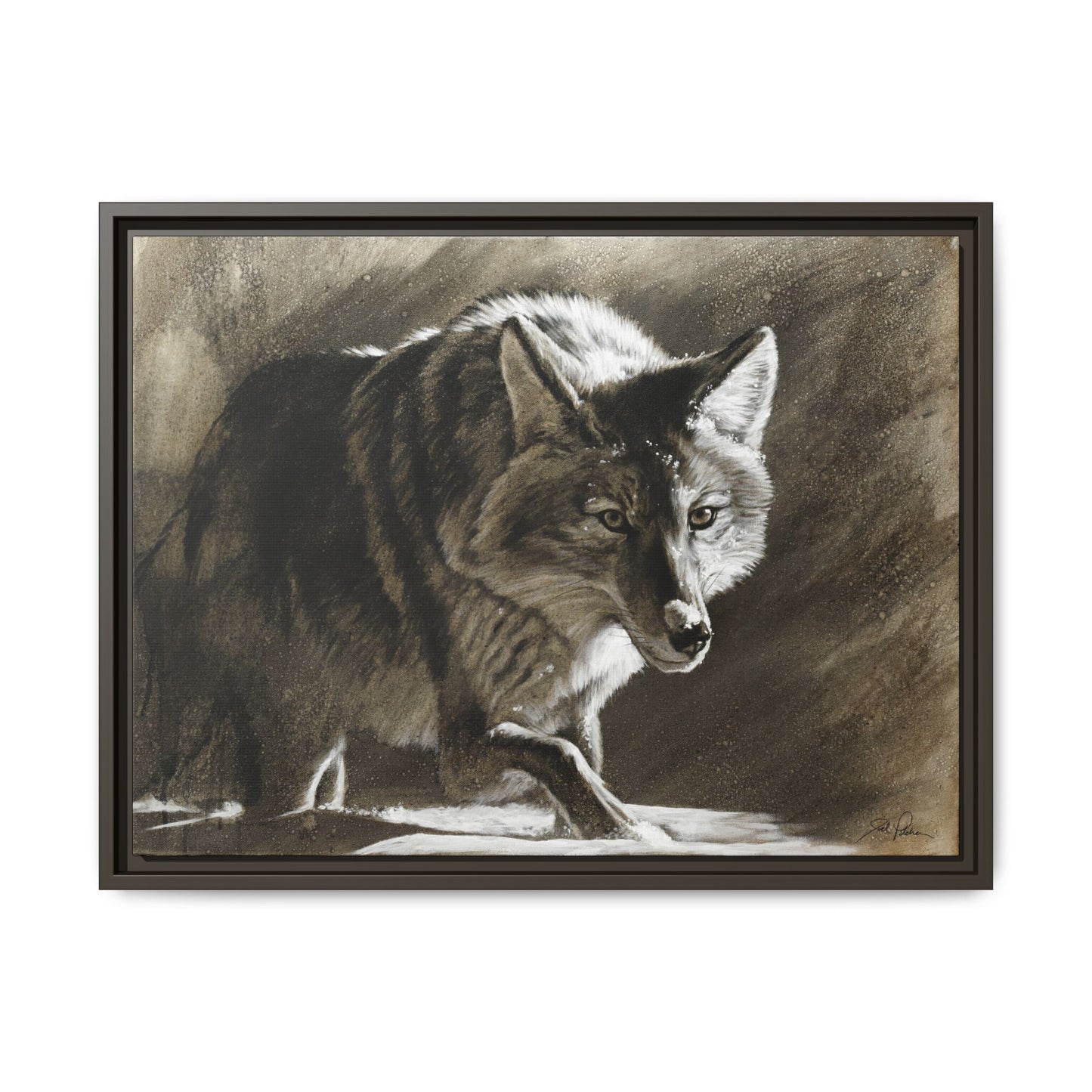 "Coyote" Framed Canvas