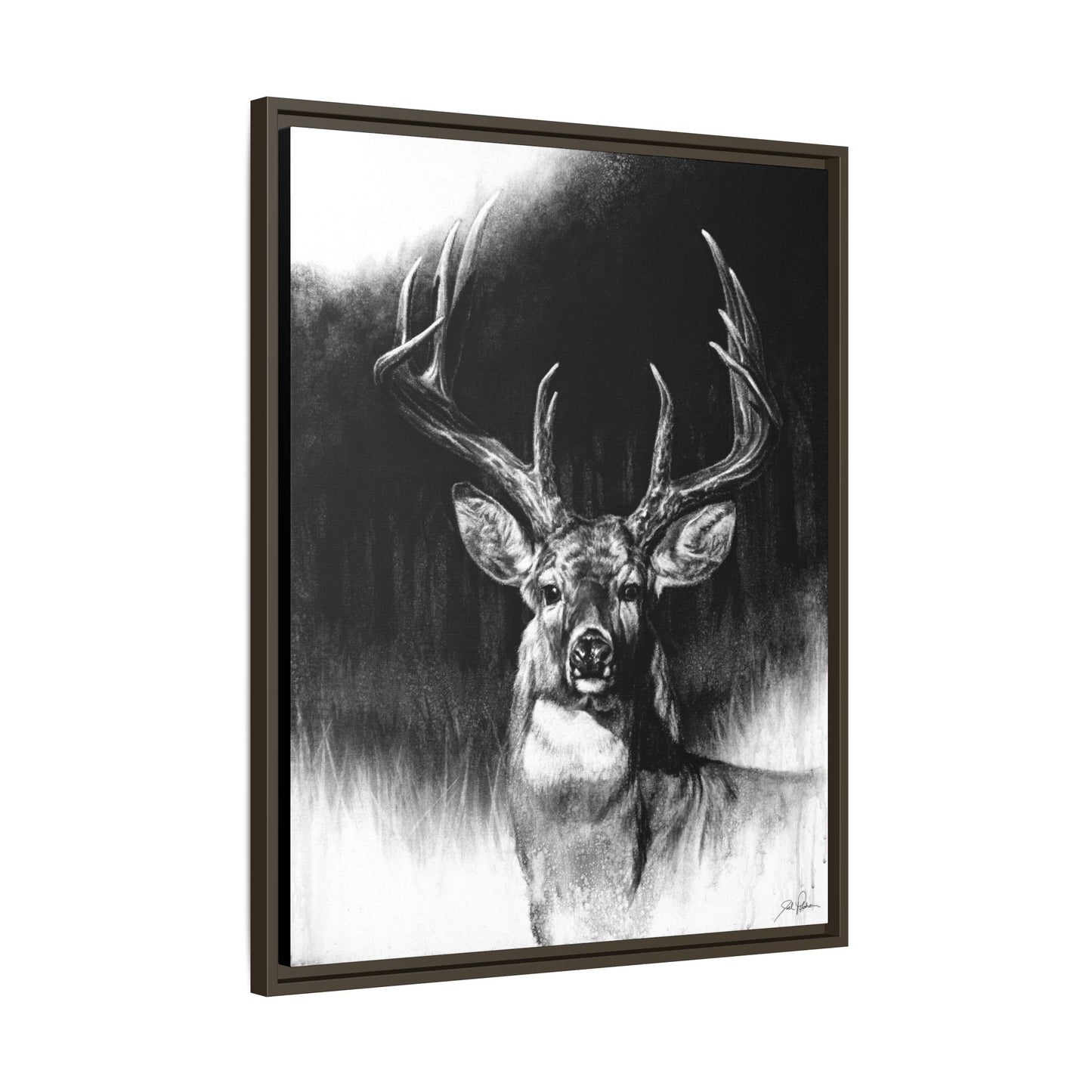 "Whitetail" Framed Canvas