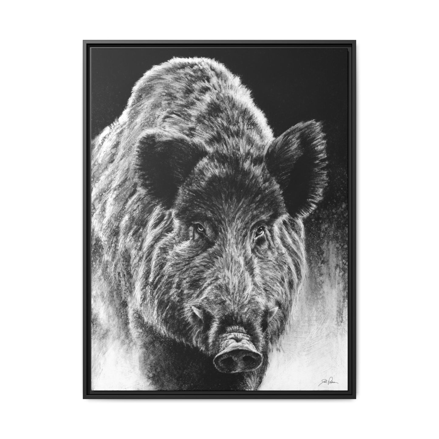 "Wild Boar" Framed Canvas
