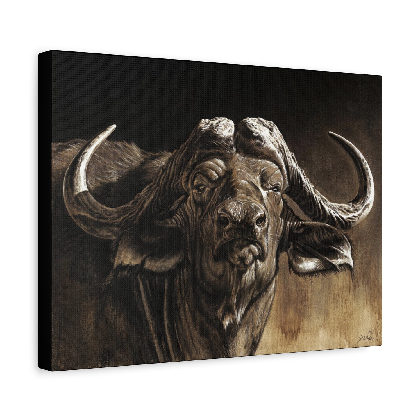 "Debt Collector" Stretched Canvas