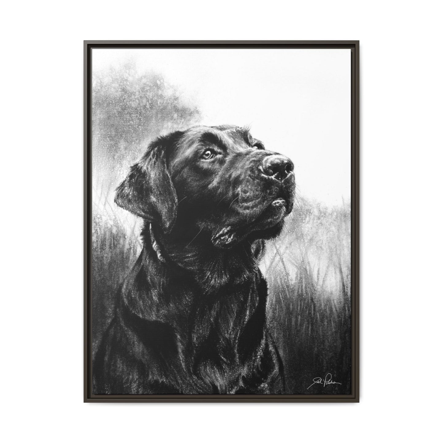 "Labrador Retriever" Framed Canvas