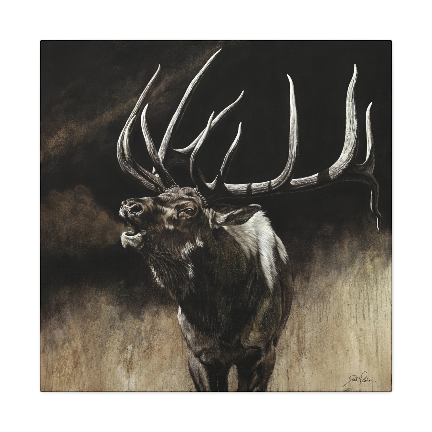 "Call of the Wild" Stretched Canvas