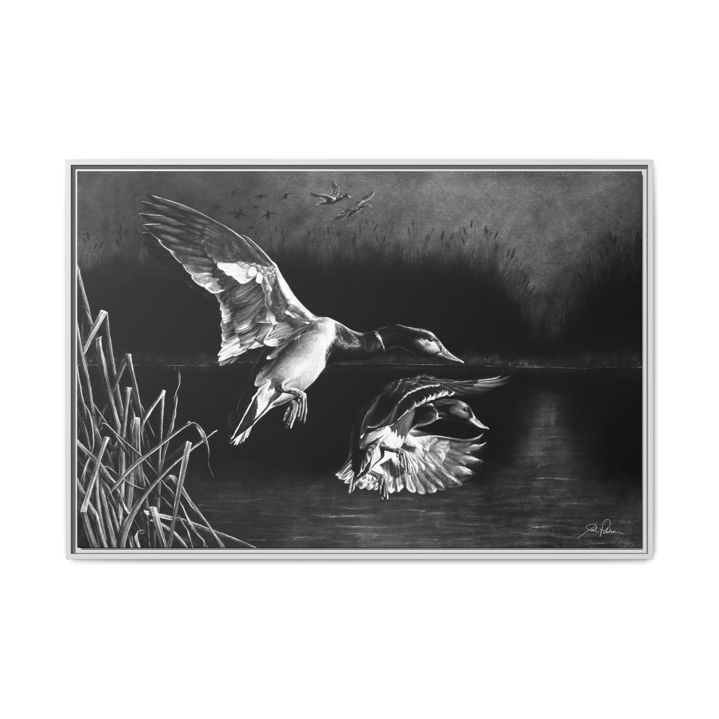 "Banded Brothers" Framed Canvas