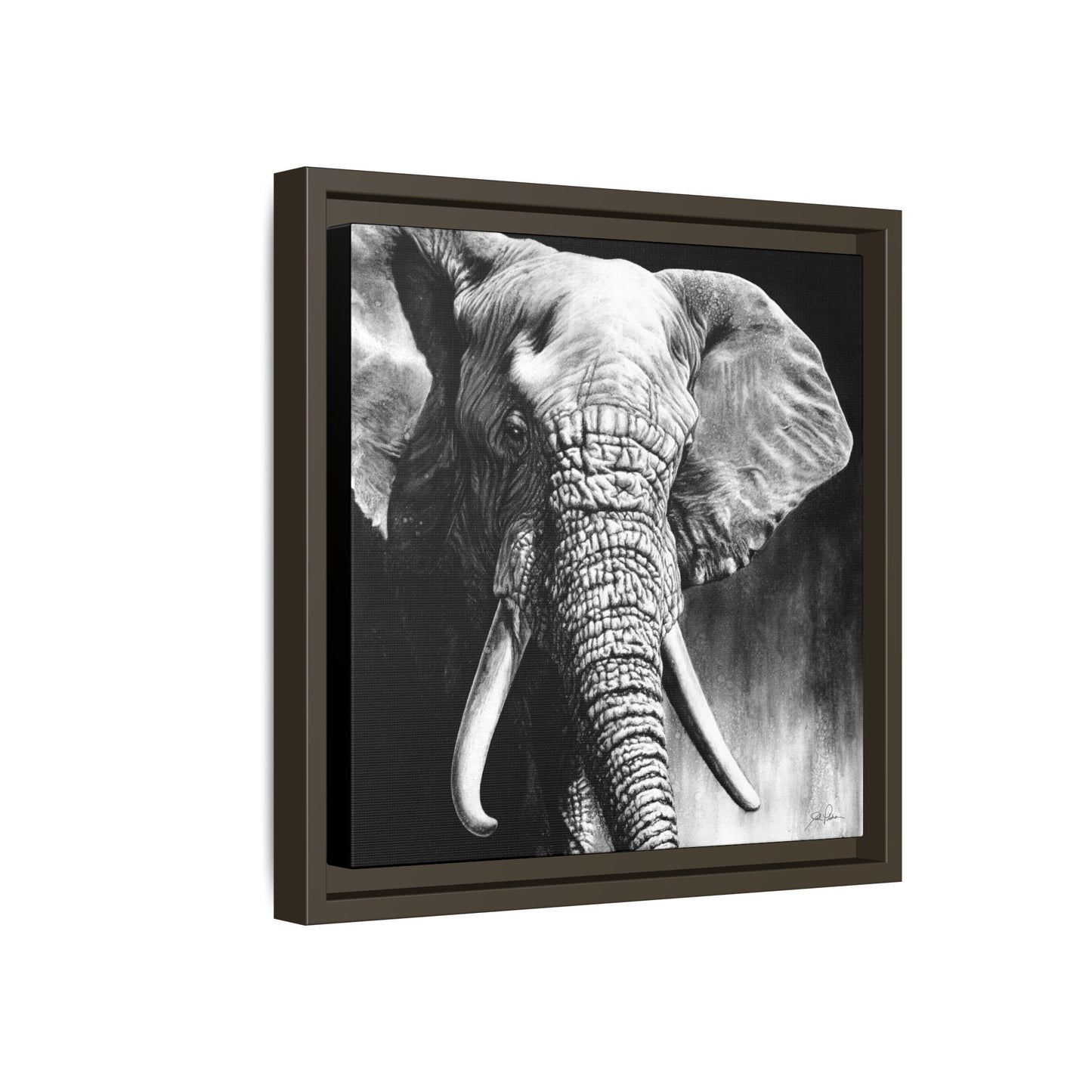 "High & Mighty" Framed Canvas