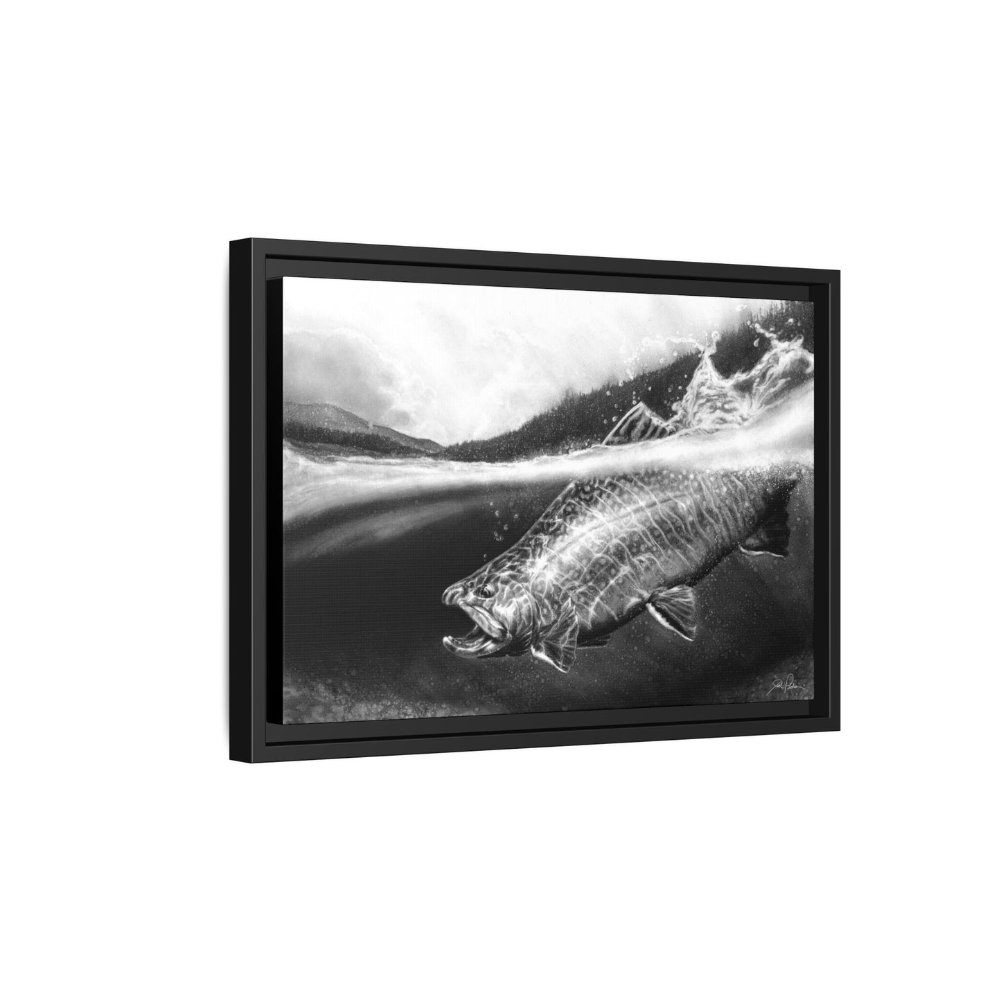 "Brook Trout" Framed Canvas