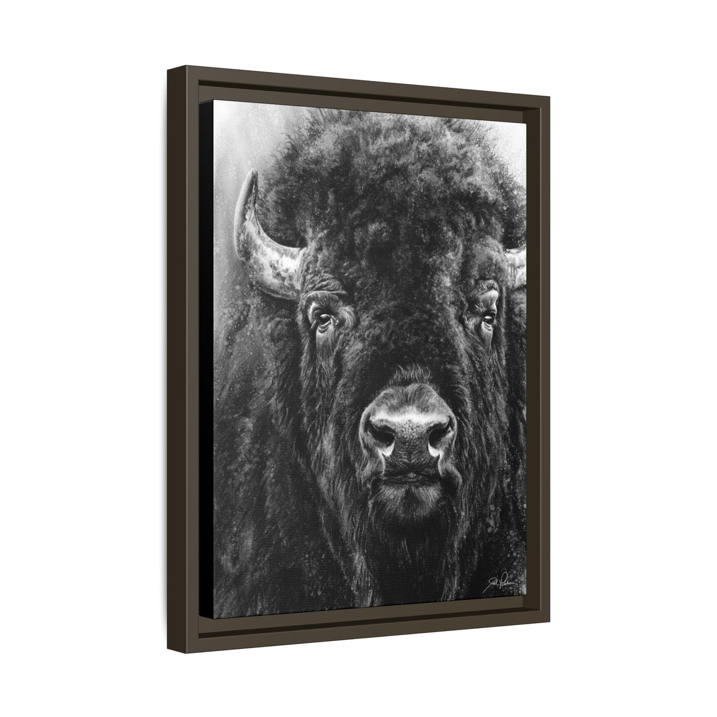 "Tatanka" Framed Canvas