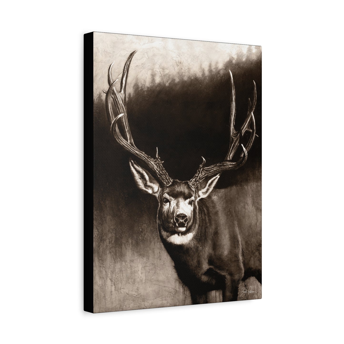 "Muley" Stretched Canvas