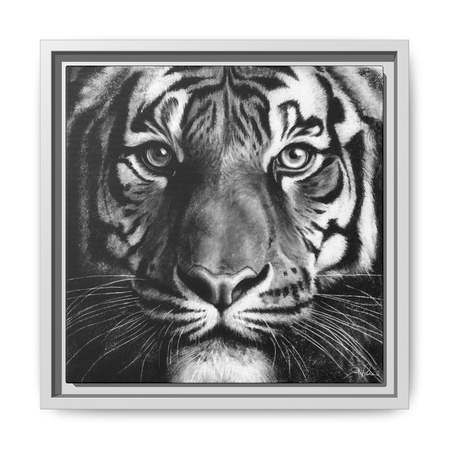 "Tiger" Framed Canvas