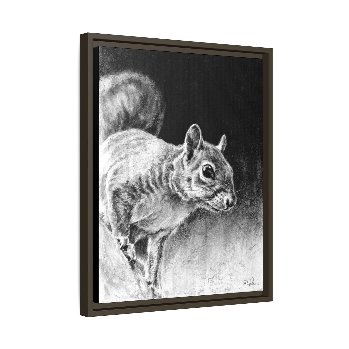 "Squirrel" Framed Canvas