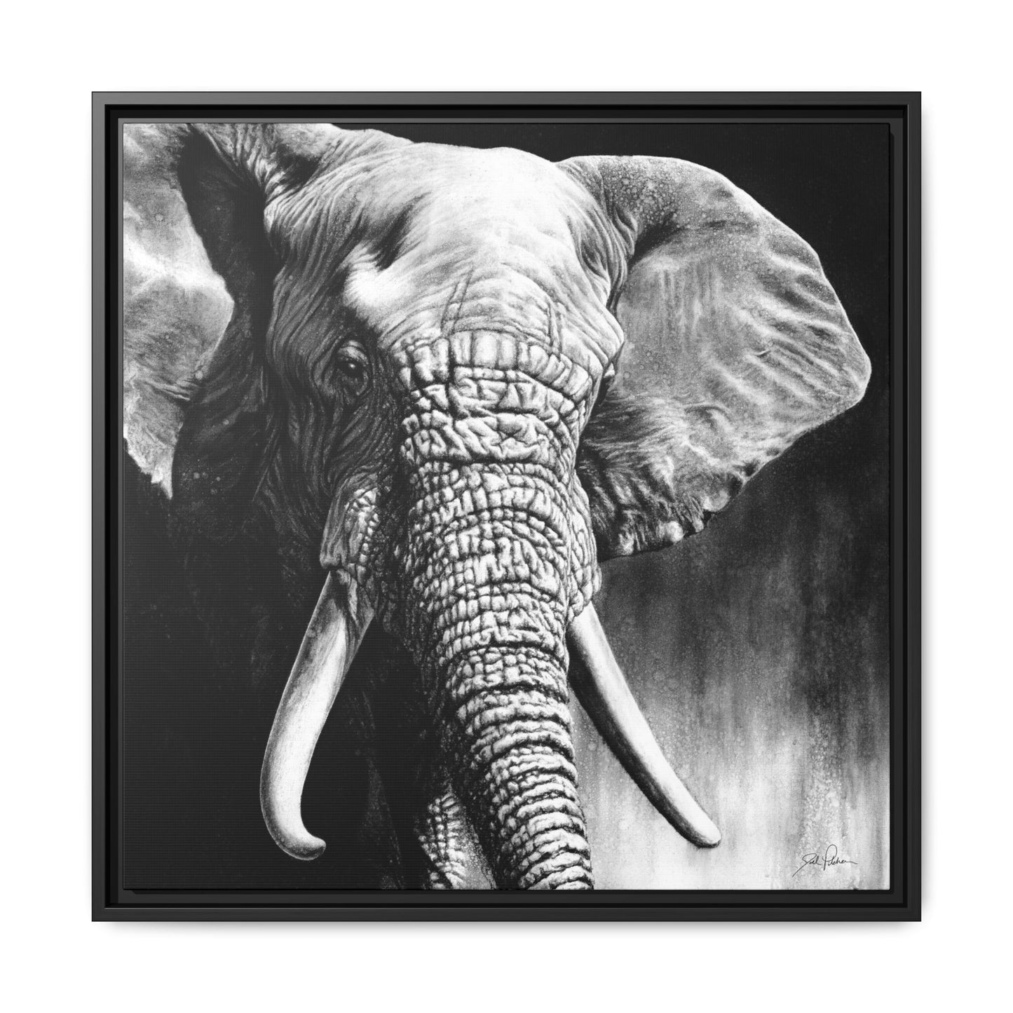 "High & Mighty" Framed Canvas