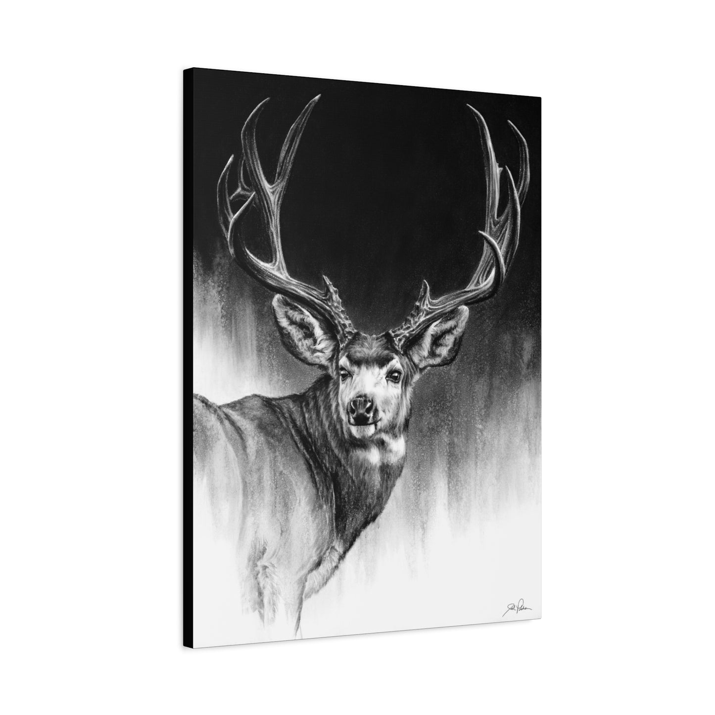 "Looking Back" Stretched Canvas