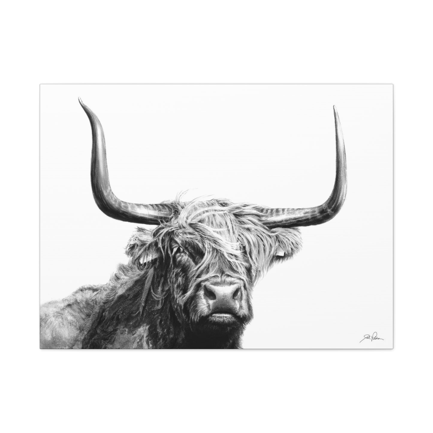 "Highlander" Stretched Canvas