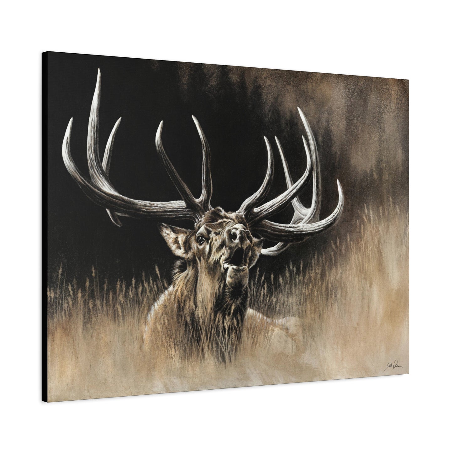 "Wake Up Call" Stretched Canvas