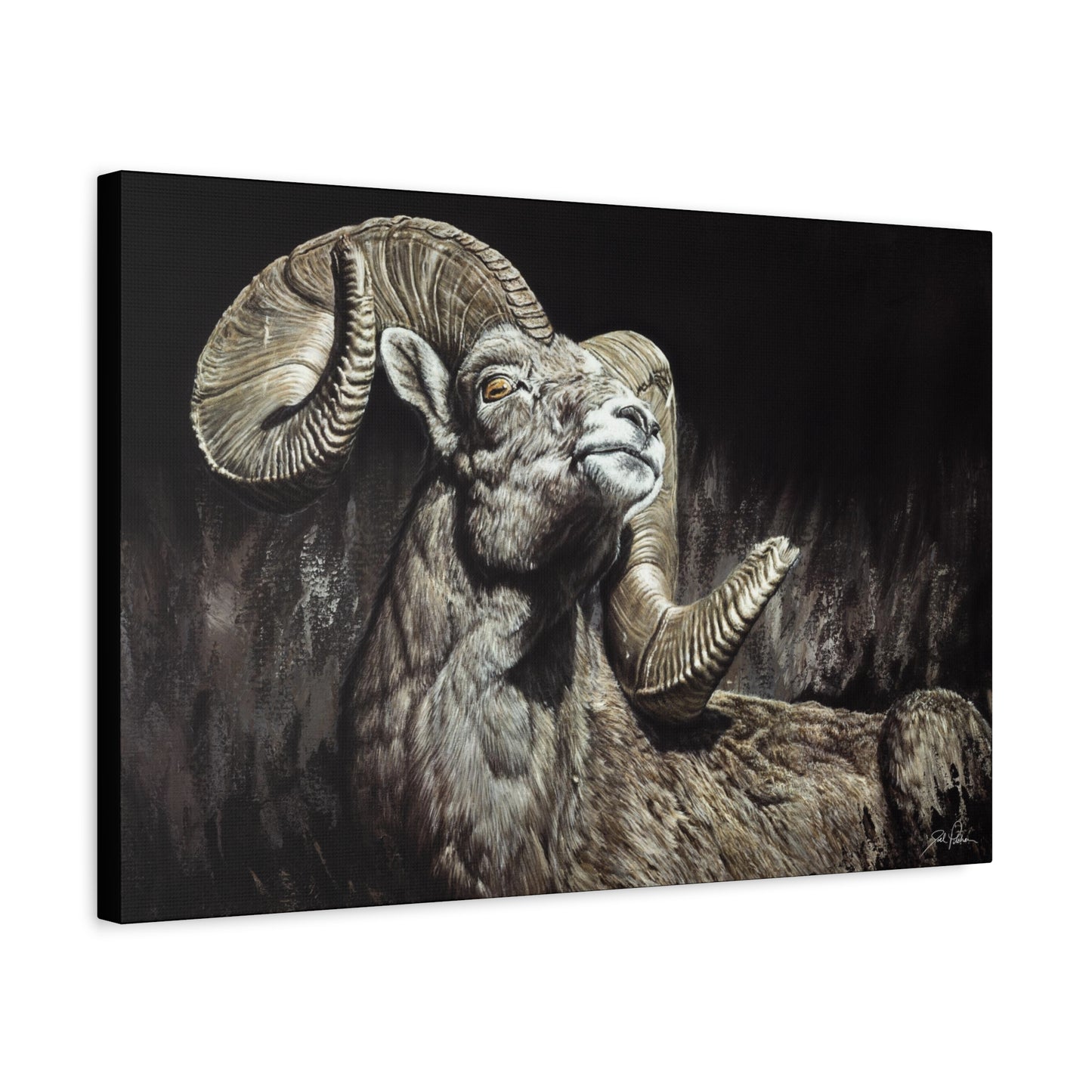 "Golden Eye" Stretched Canvas