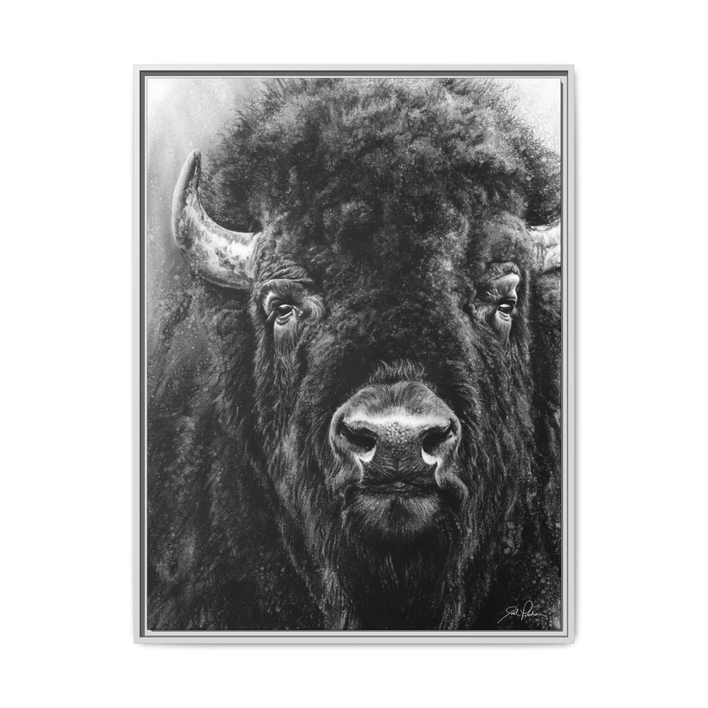 "Tatanka" Framed Canvas