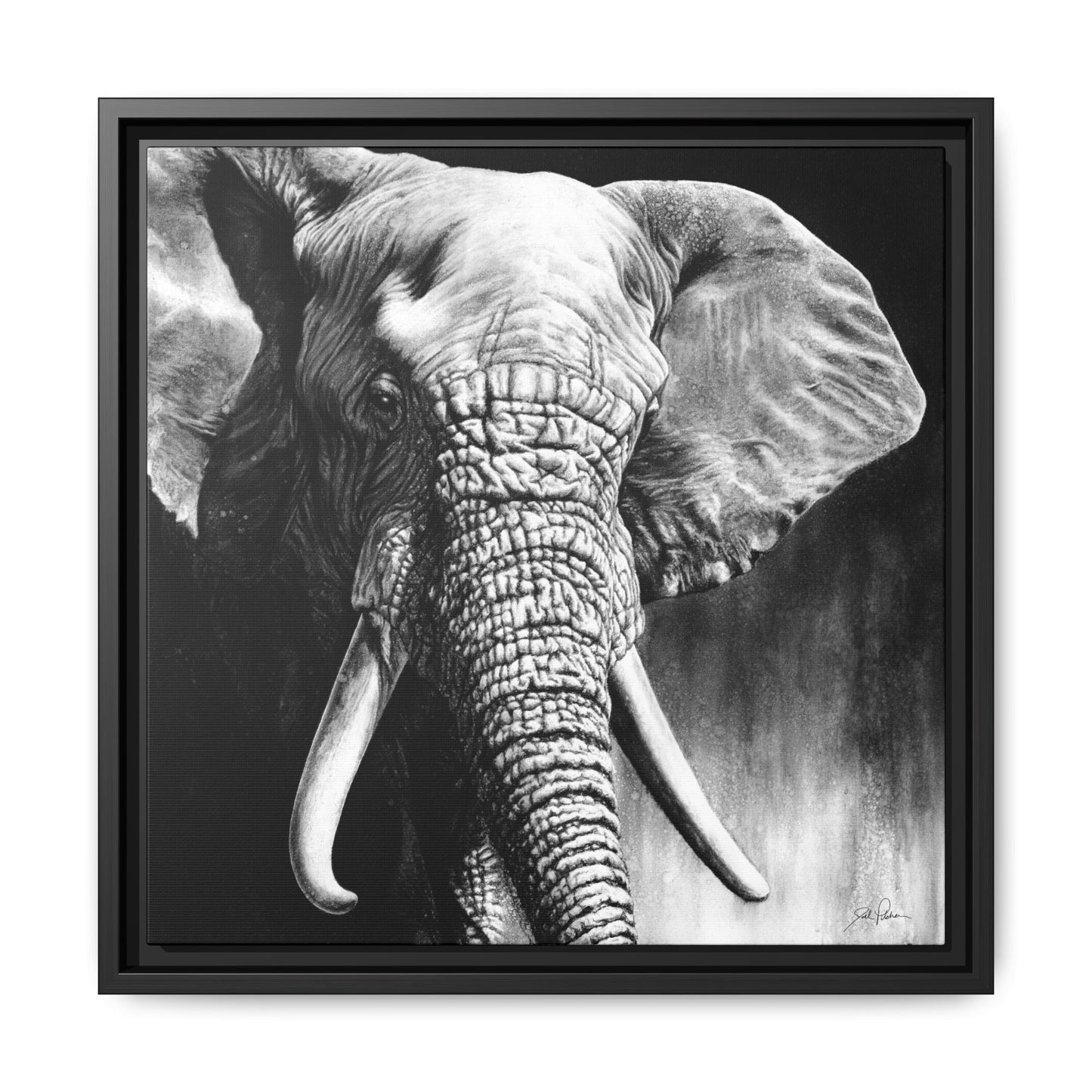 "High & Mighty" Framed Canvas