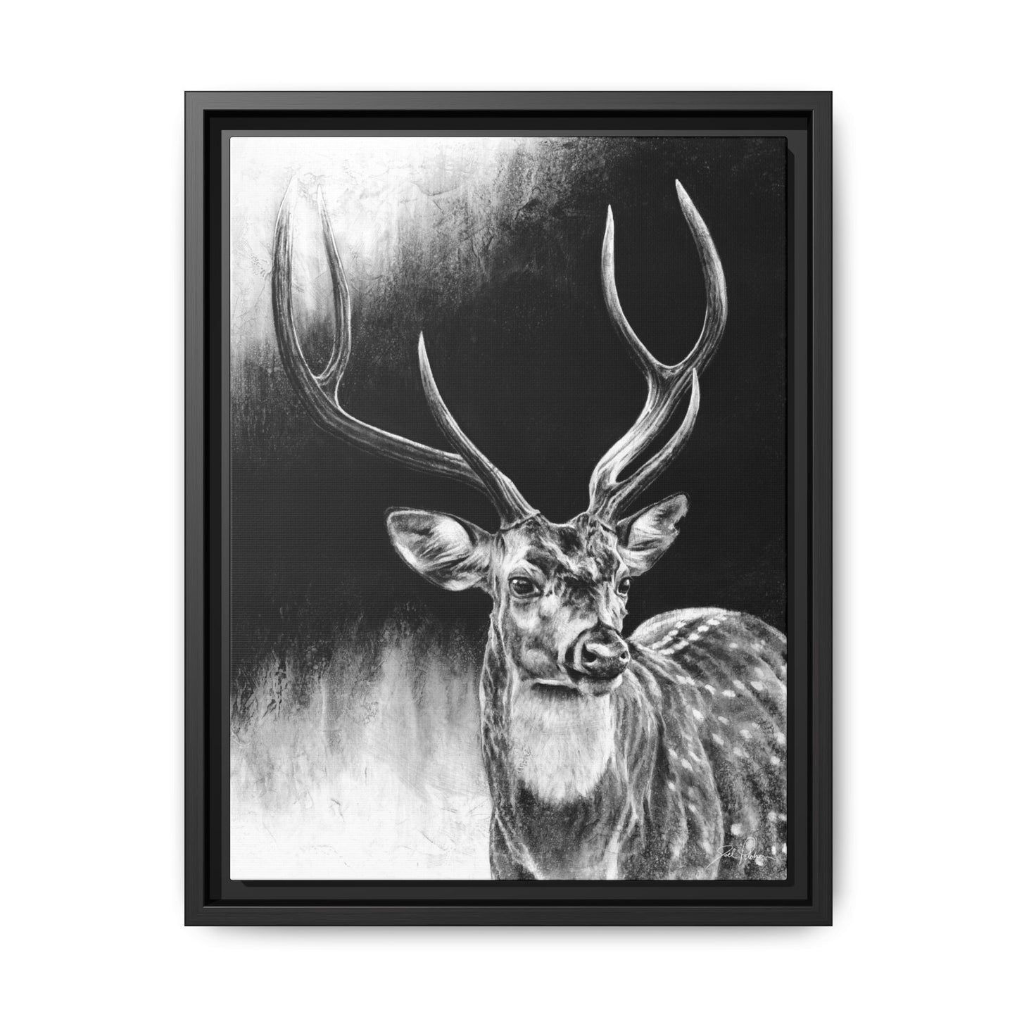 "Axis Buck" Framed Canvas