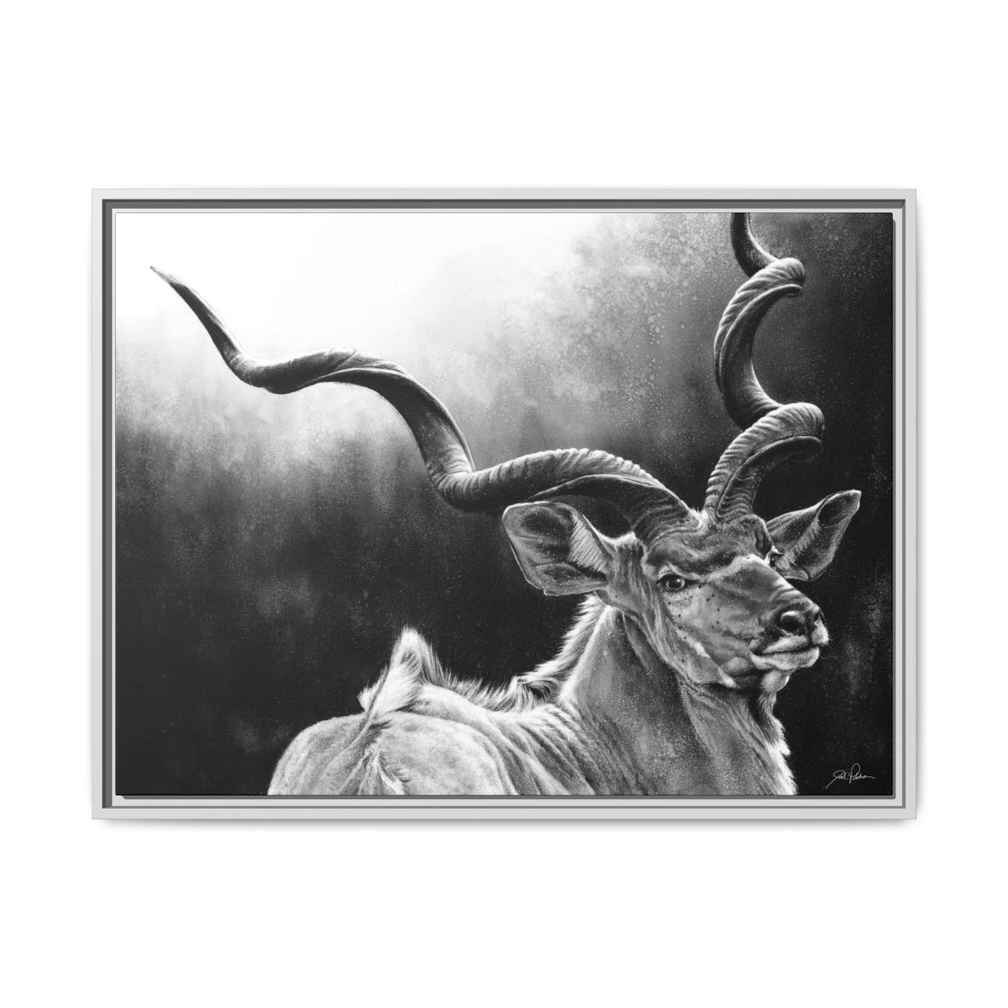 "Kudu" Framed Canvas