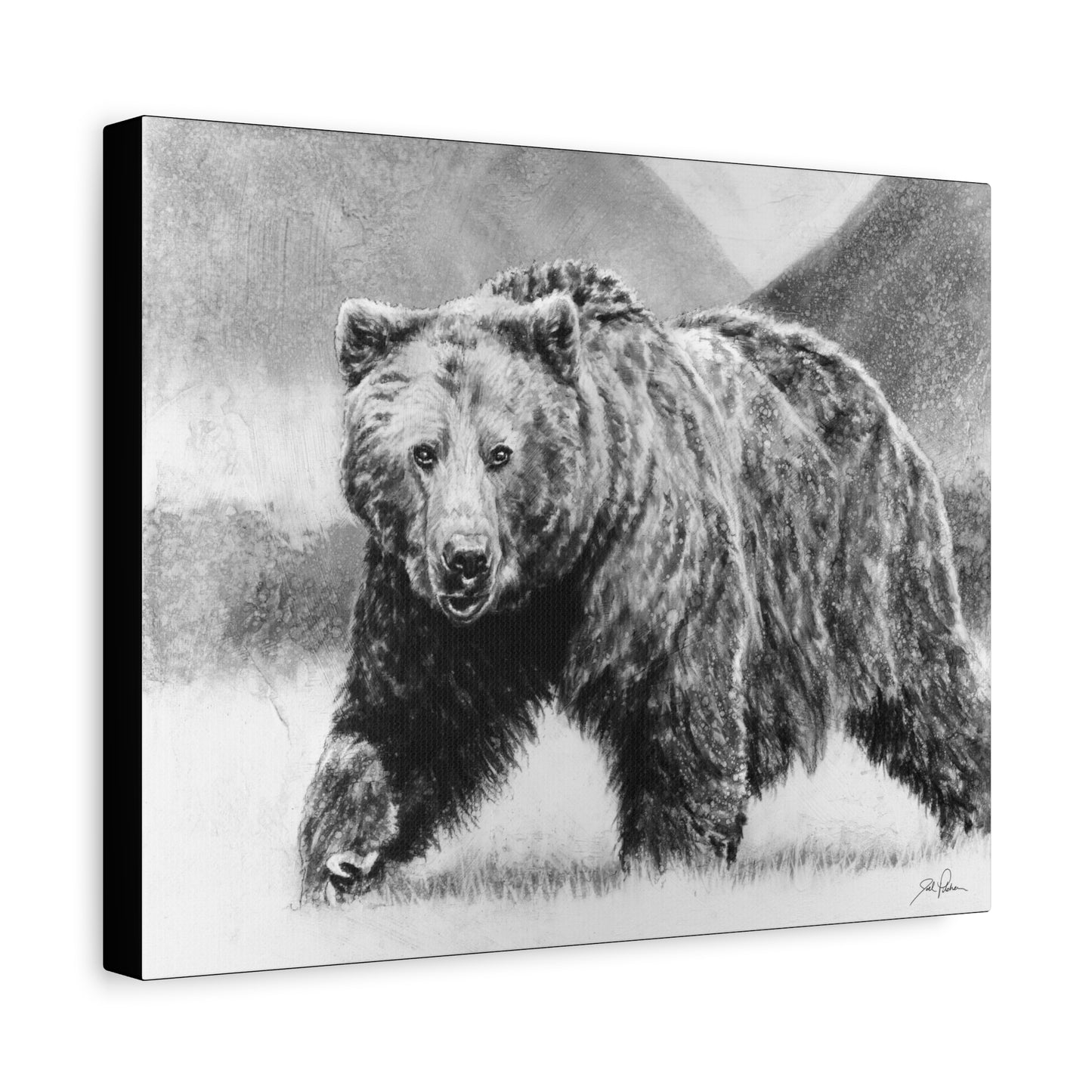 "Grizzly II" Stretched Canvas