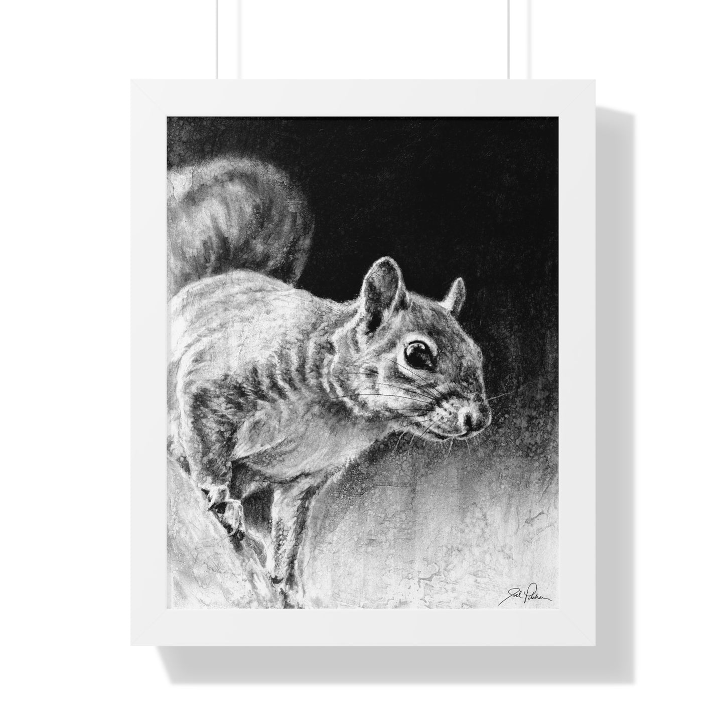 "Squirrel" Framed Paper Print