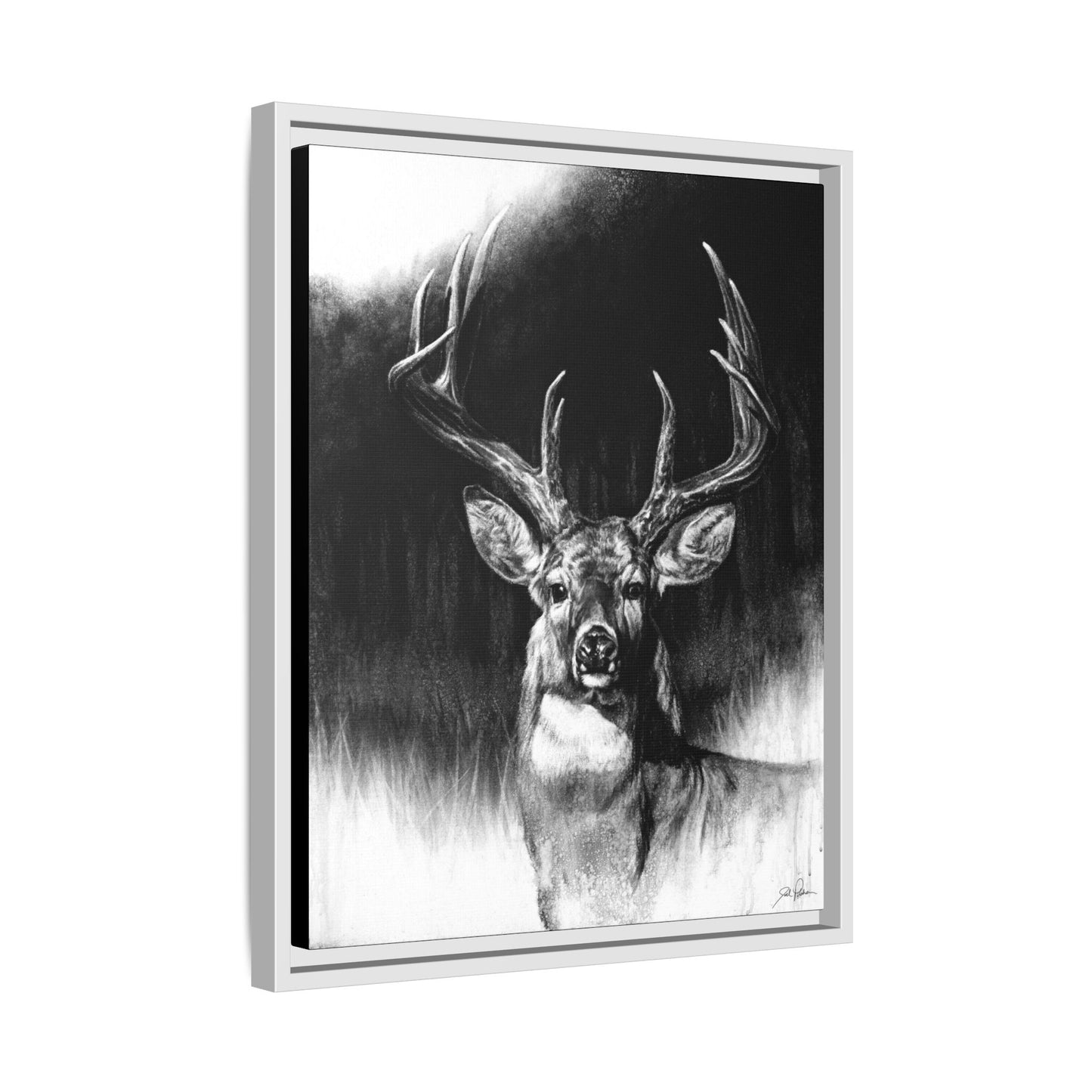 "Whitetail" Framed Canvas