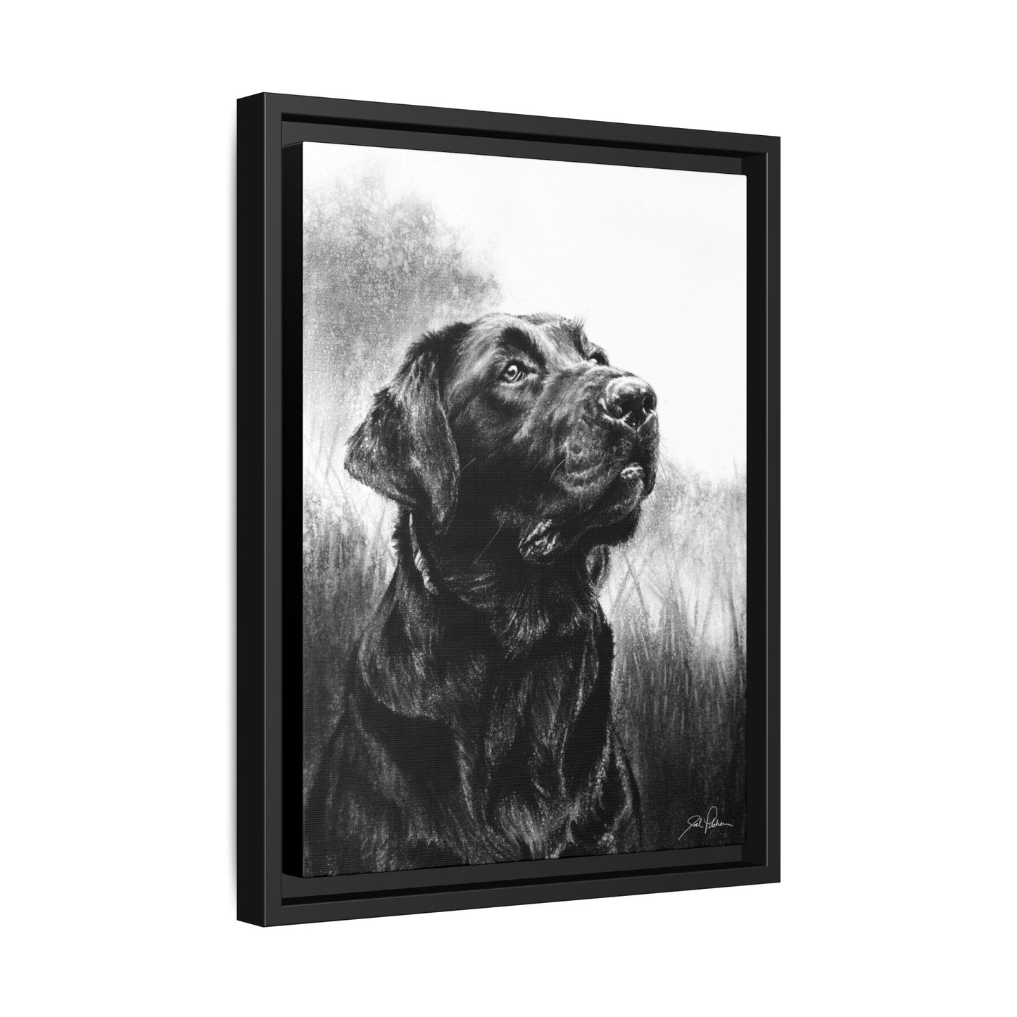 "Labrador Retriever" Framed Canvas